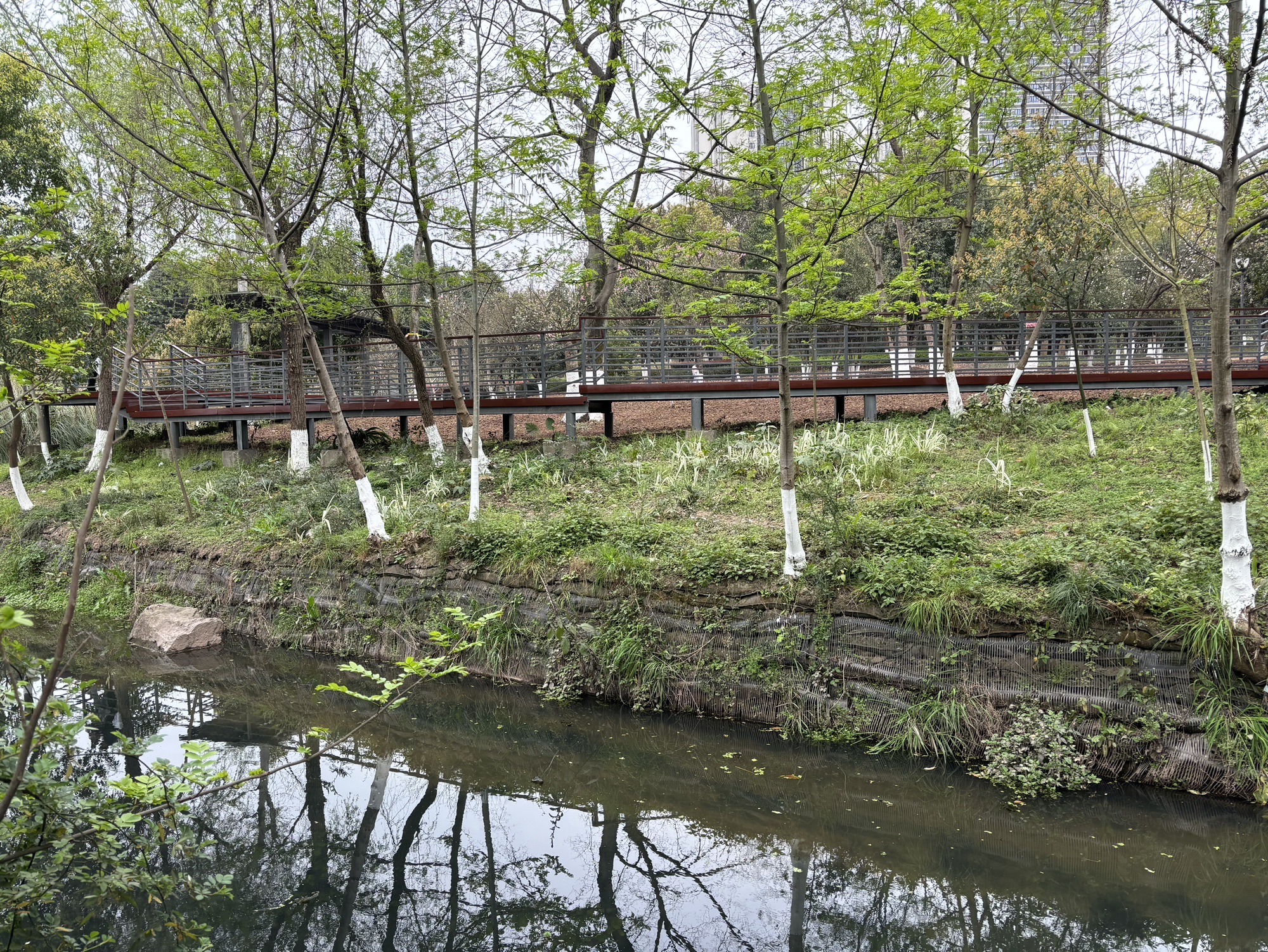 大学城中央公园旅行图片 3