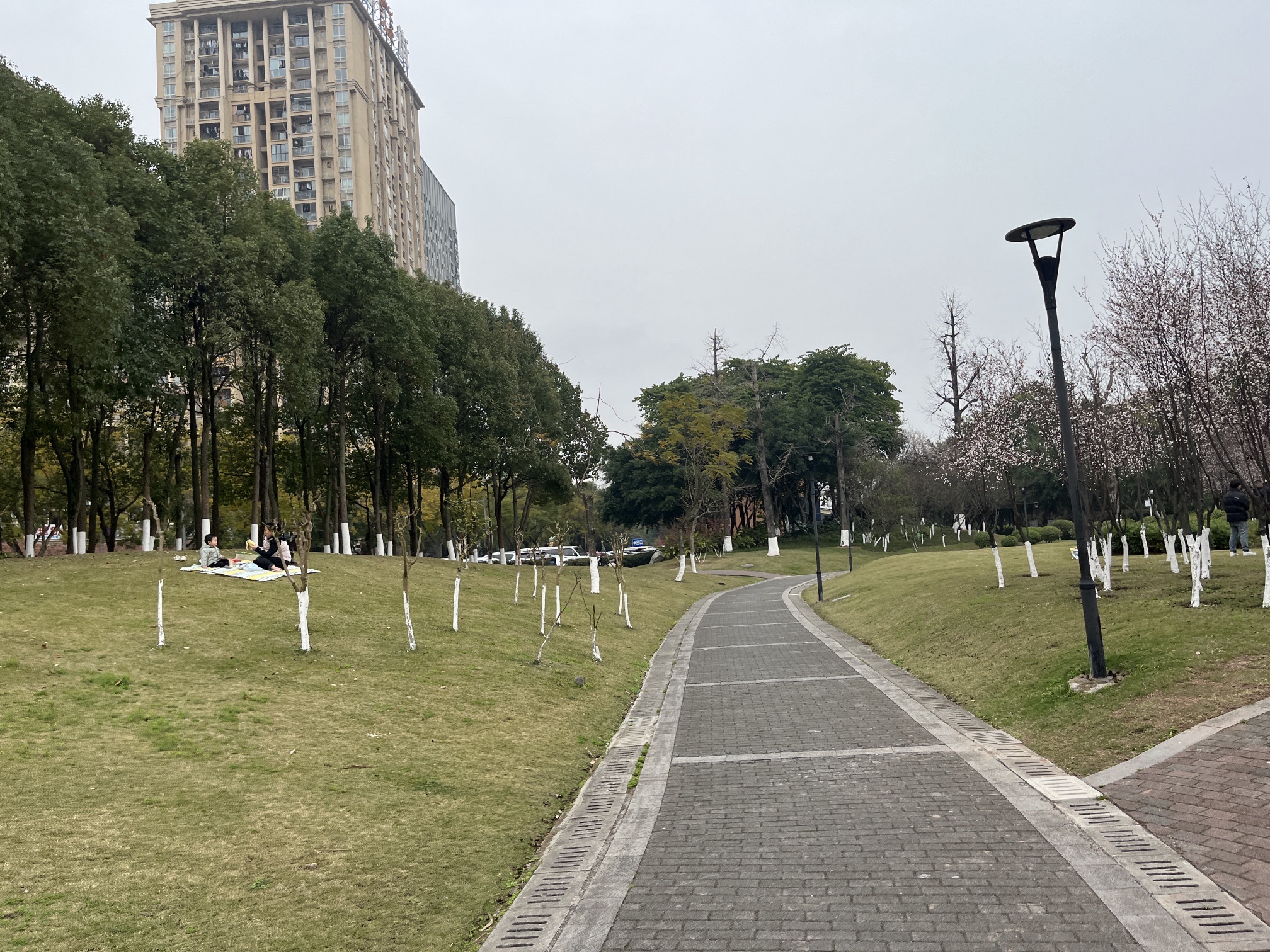 大学城中央公园旅行图片 1