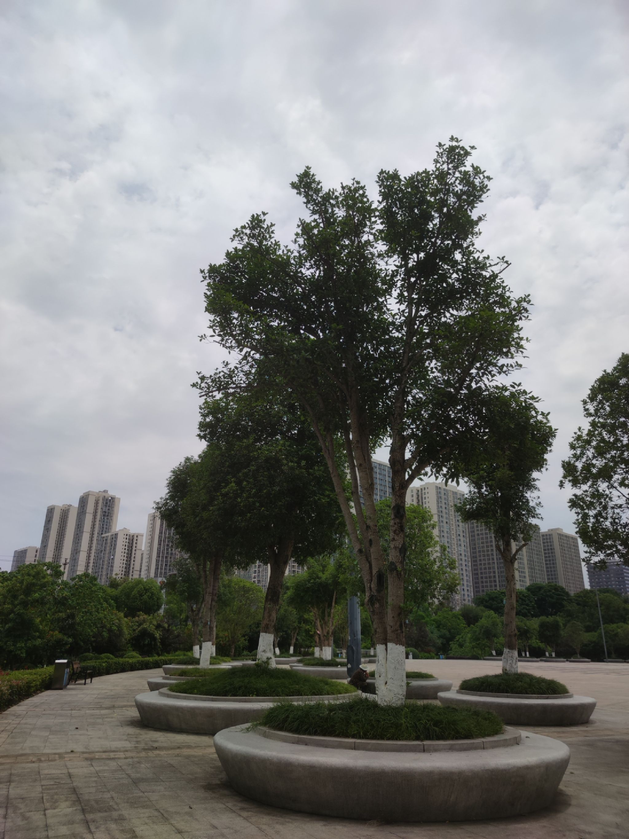 大学城中央公园旅行图片 2