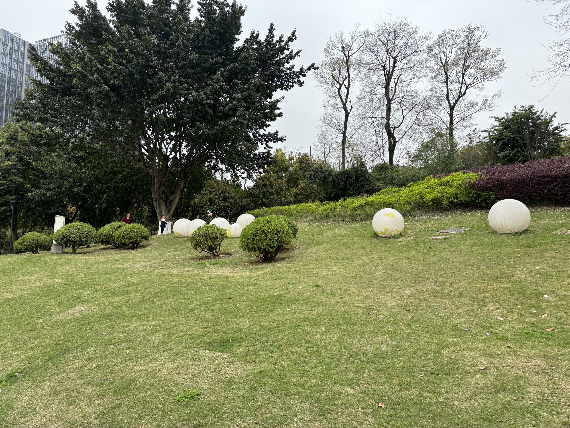 大学城中央公园旅行图片 2