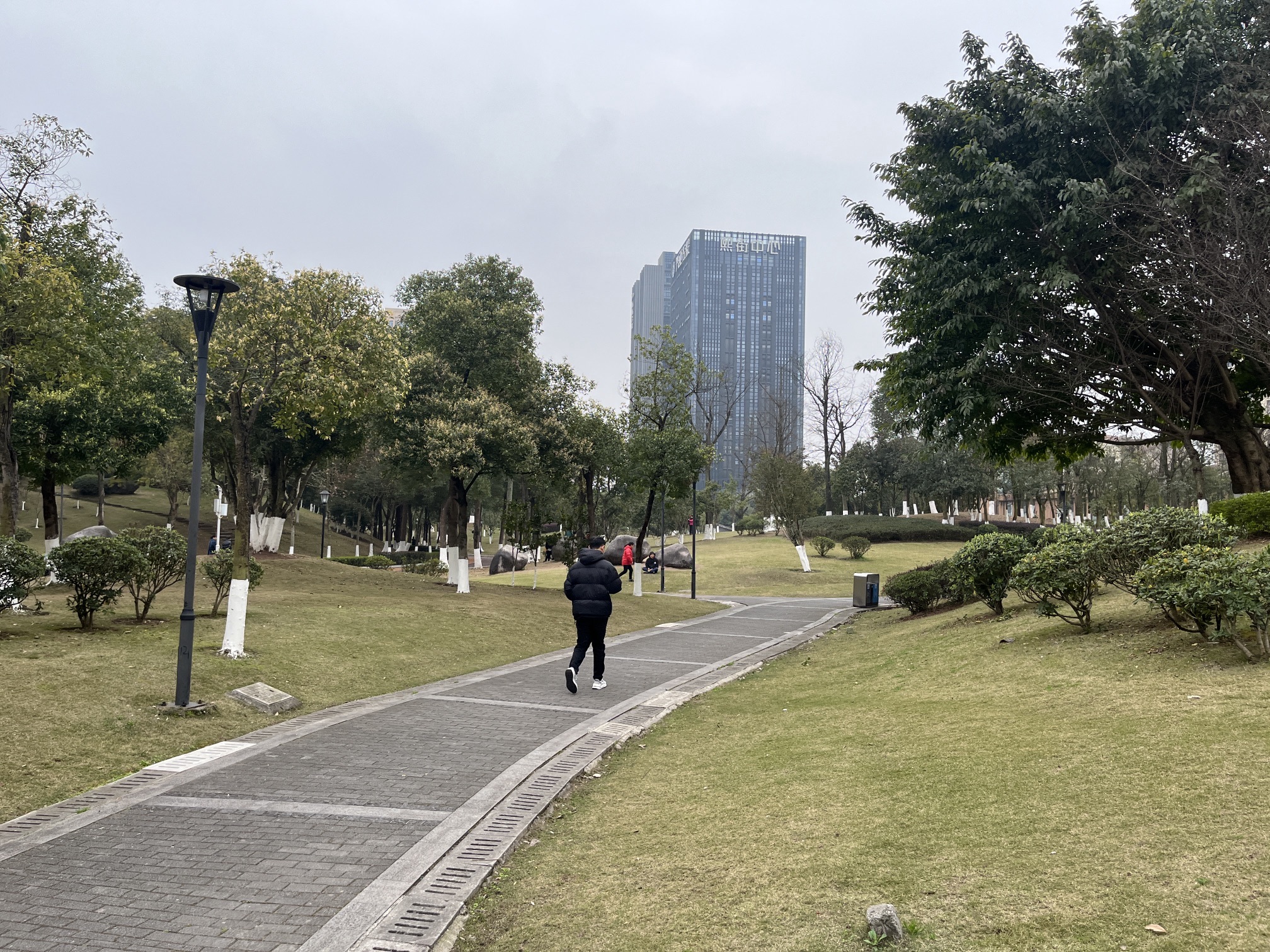 大学城中央公园旅行图片 2