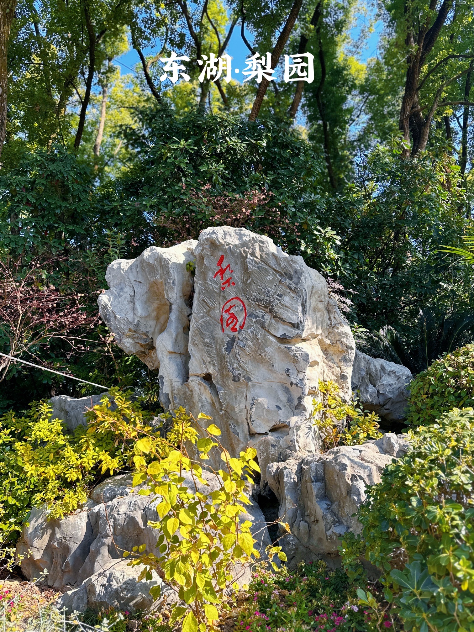 东湖生态旅游风景区梨园