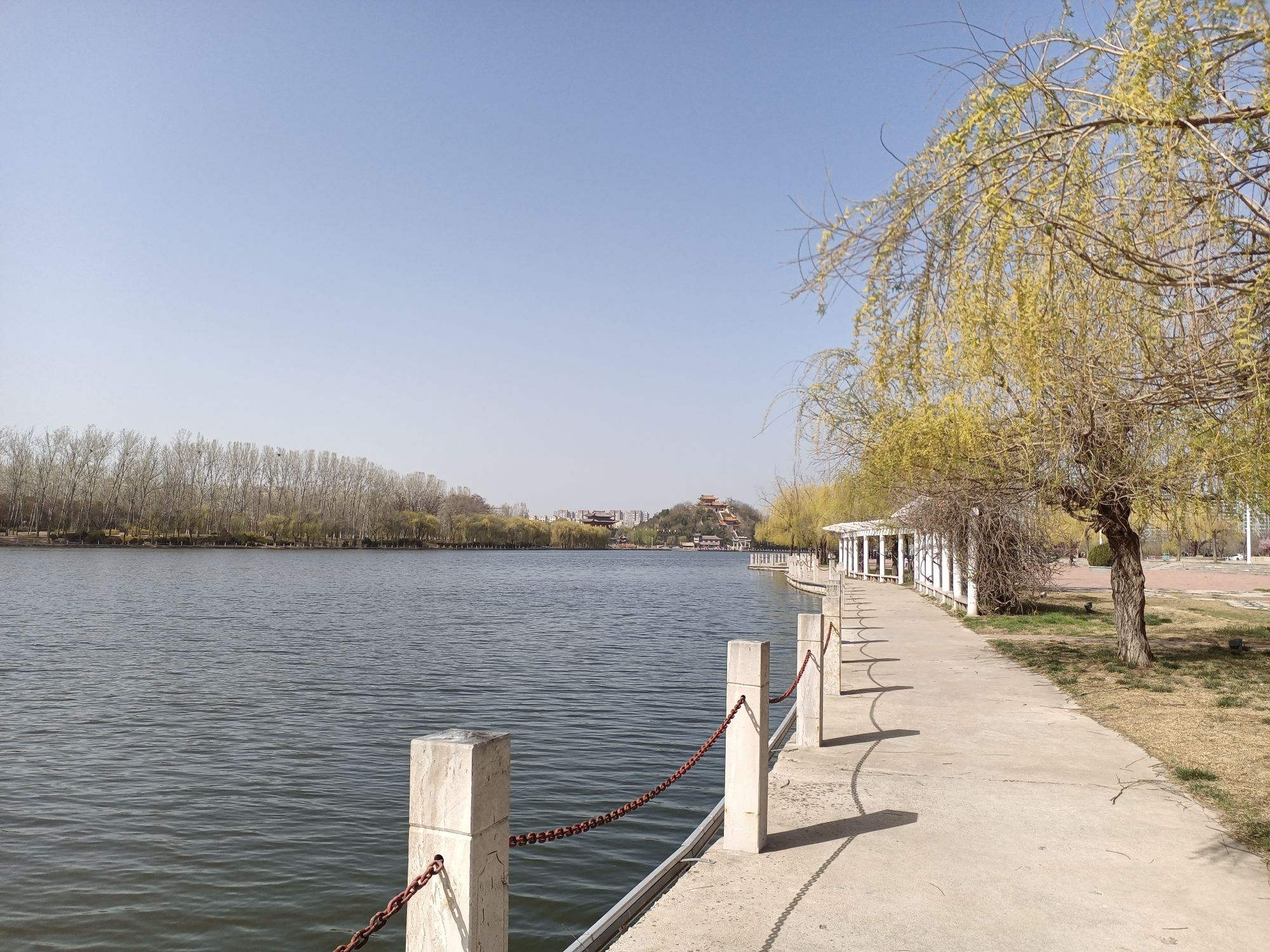 洛神湖国家湿地公园旅行图片 2