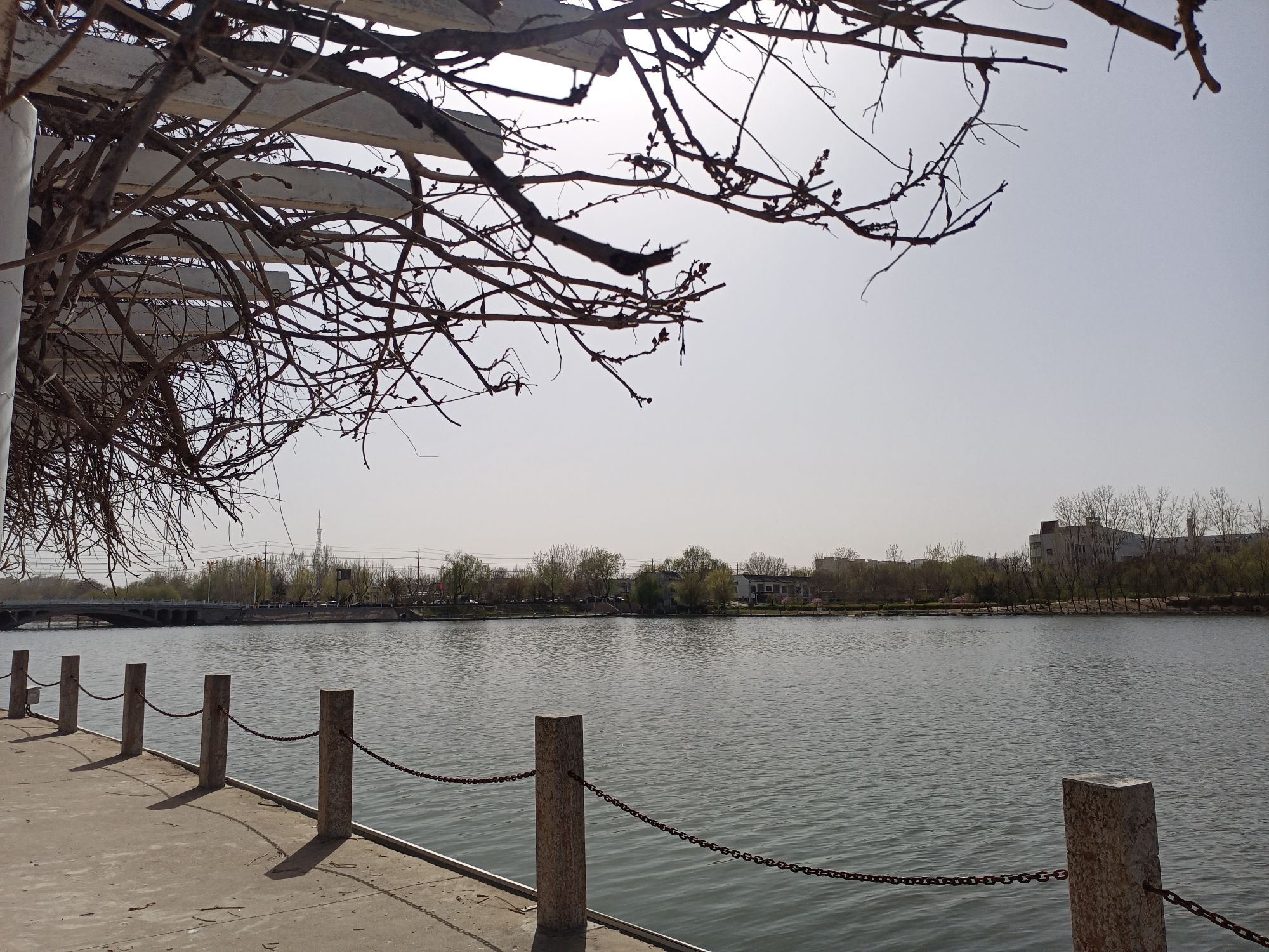 洛神湖国家湿地公园旅行图片 1