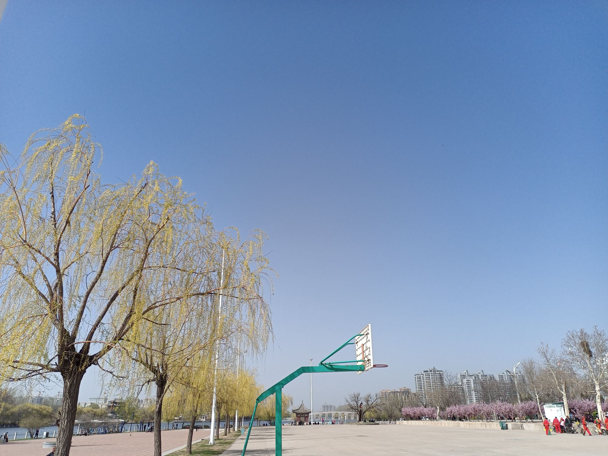 洛神湖国家湿地公园旅行图片 3
