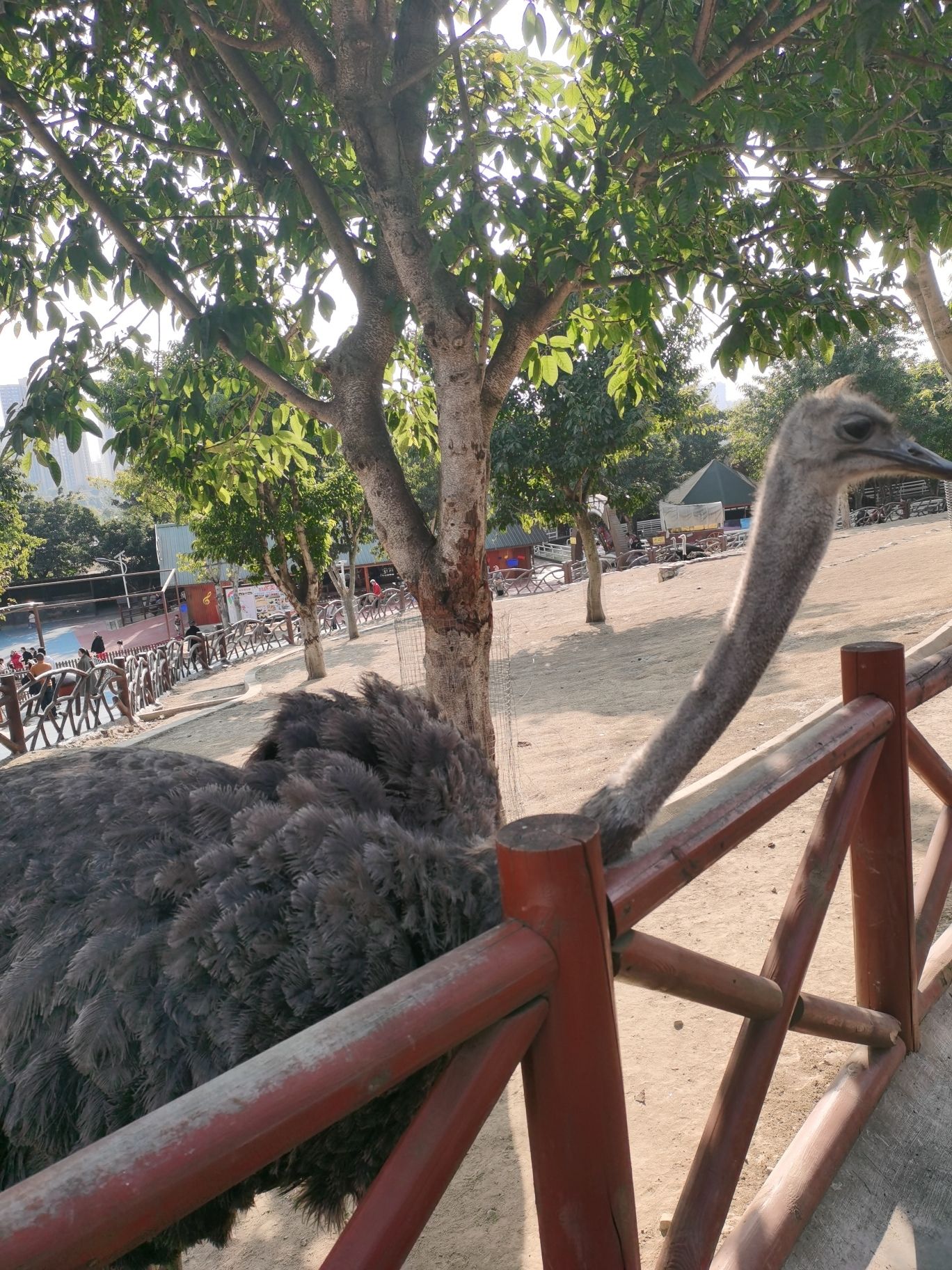 音乐·百花谷旅行图片 3