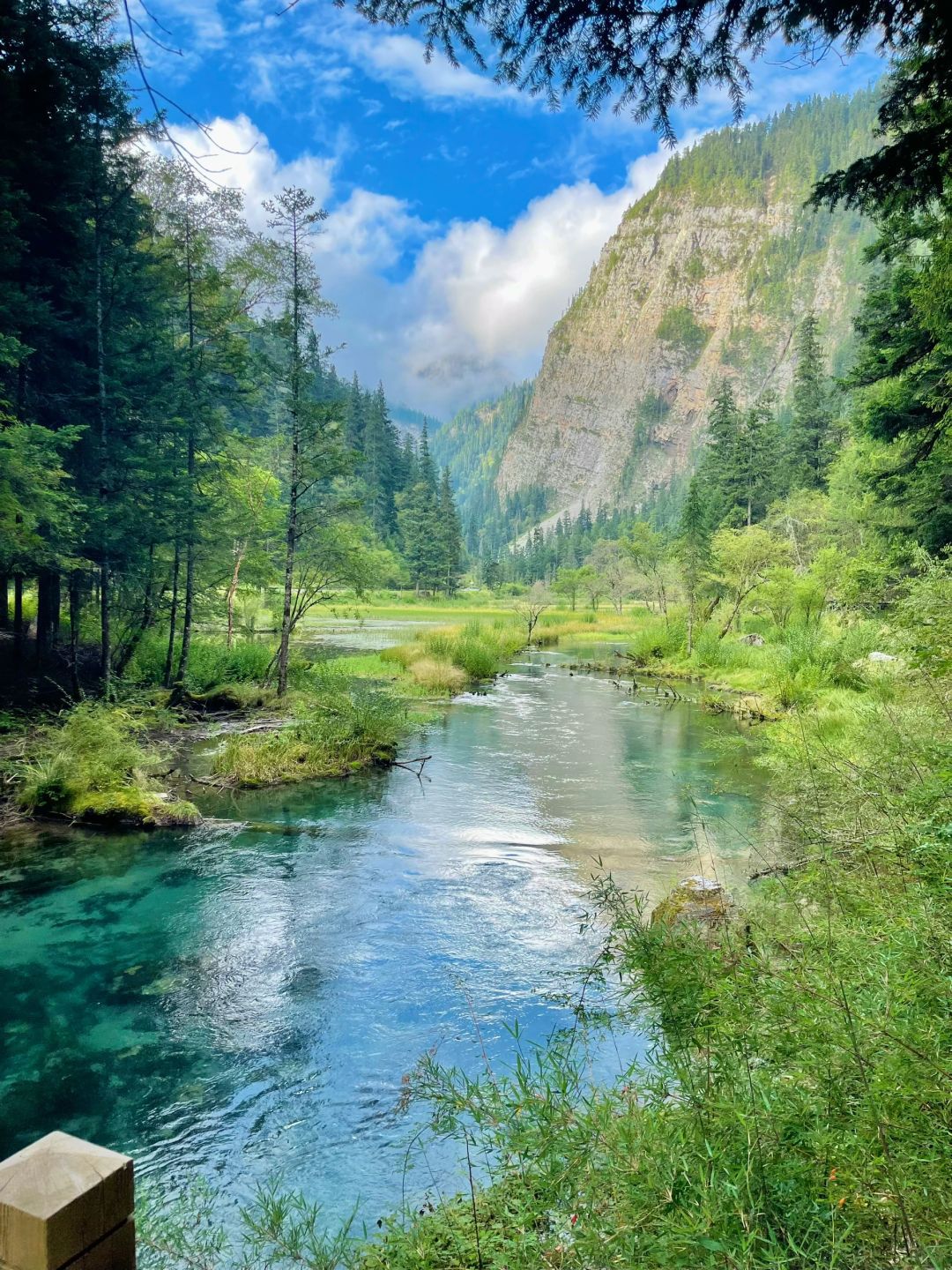 五花海 景点照片