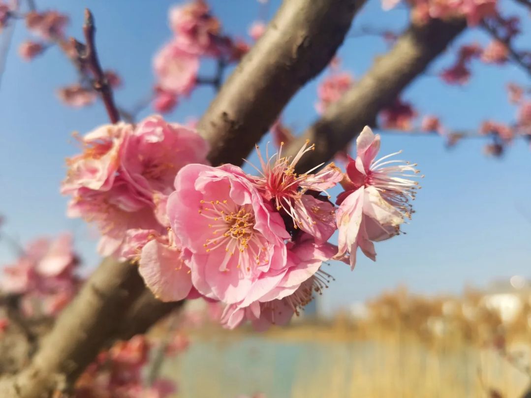 嘉山公园旅行图片 2