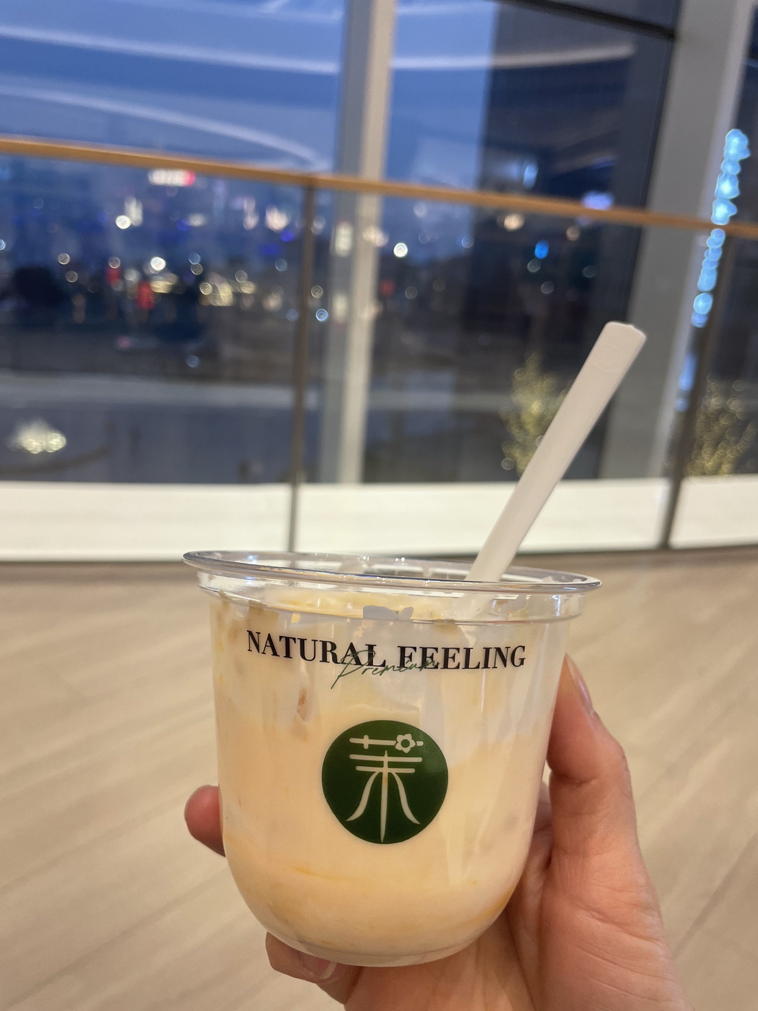 南昌市风筝广场旅行图片 1