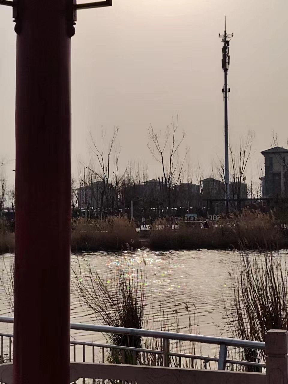 清凉江生态公园旅行图片 3