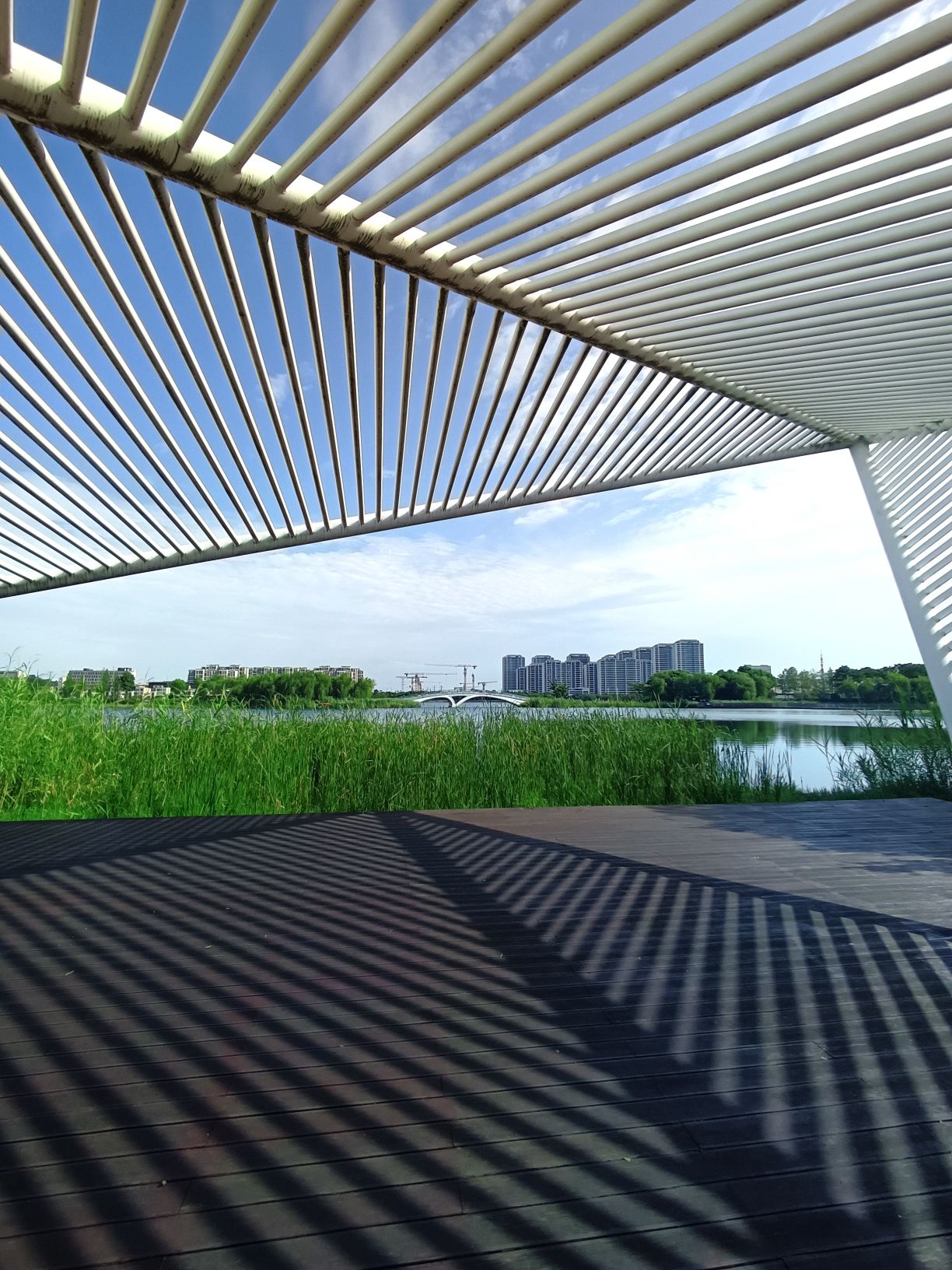 玉湖公园旅行图片 3
