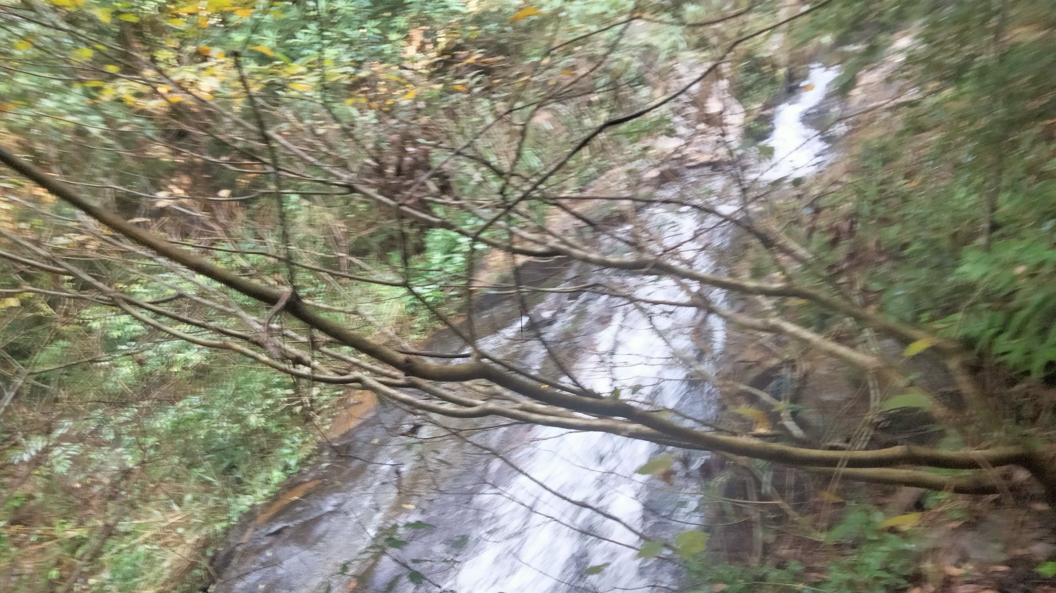 容县石山背休闲公园旅行图片 3