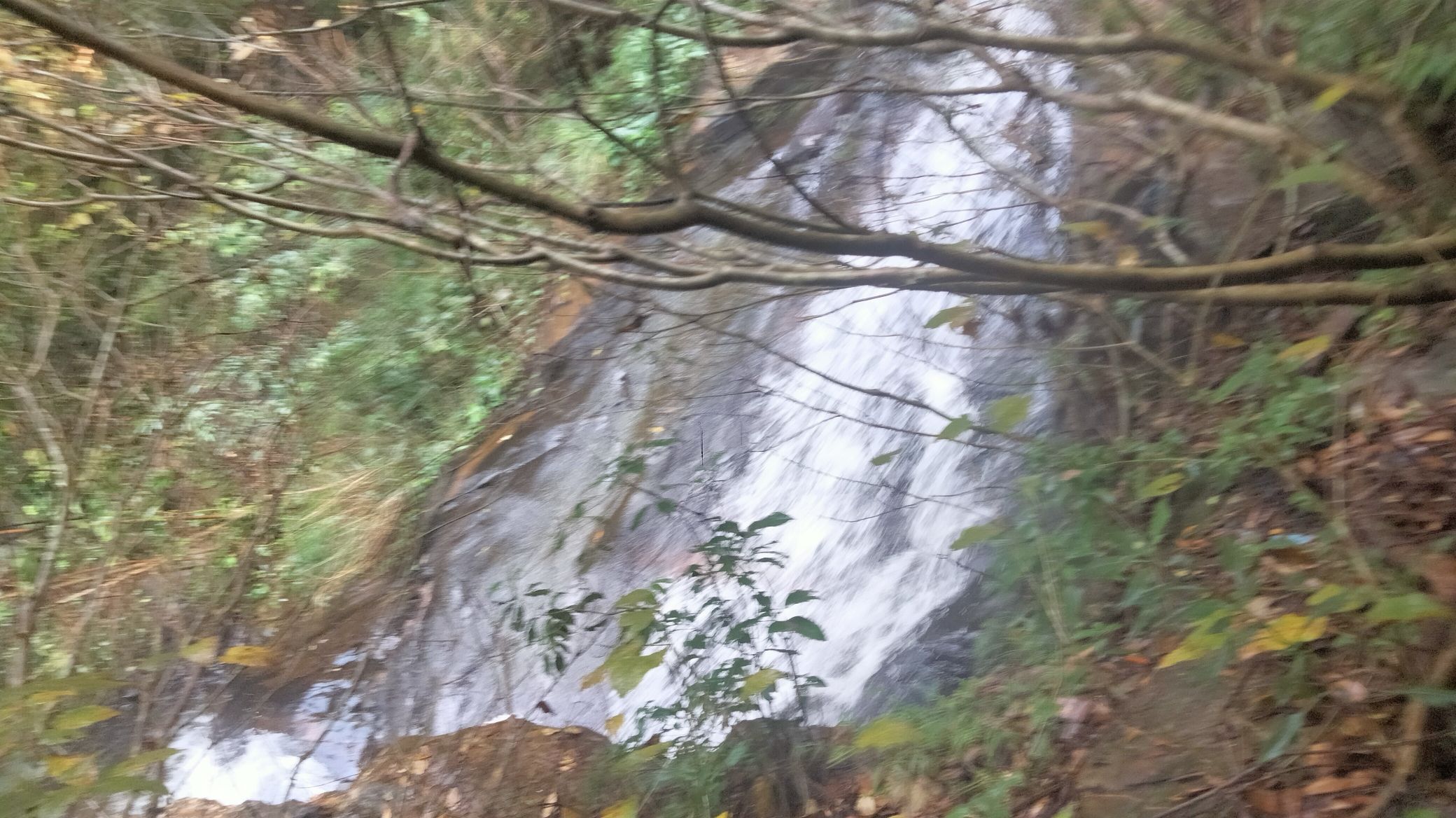 容县石山背休闲公园旅行图片 2