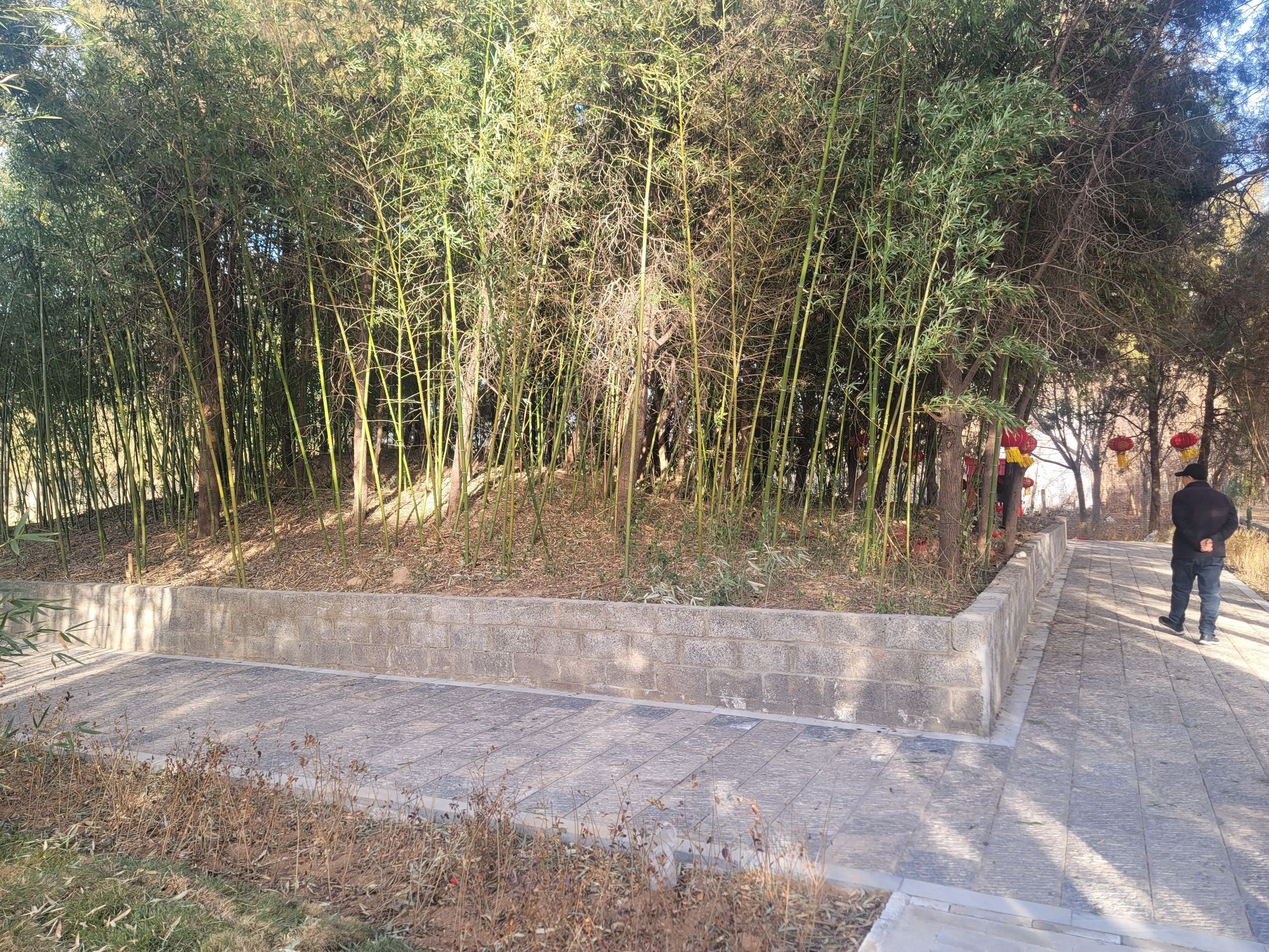 汉献帝禅陵旅行图片 3