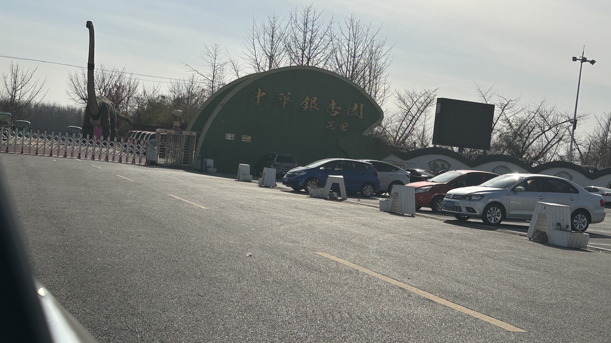 银杏生态旅游区-中华银杏园旅行图片 2