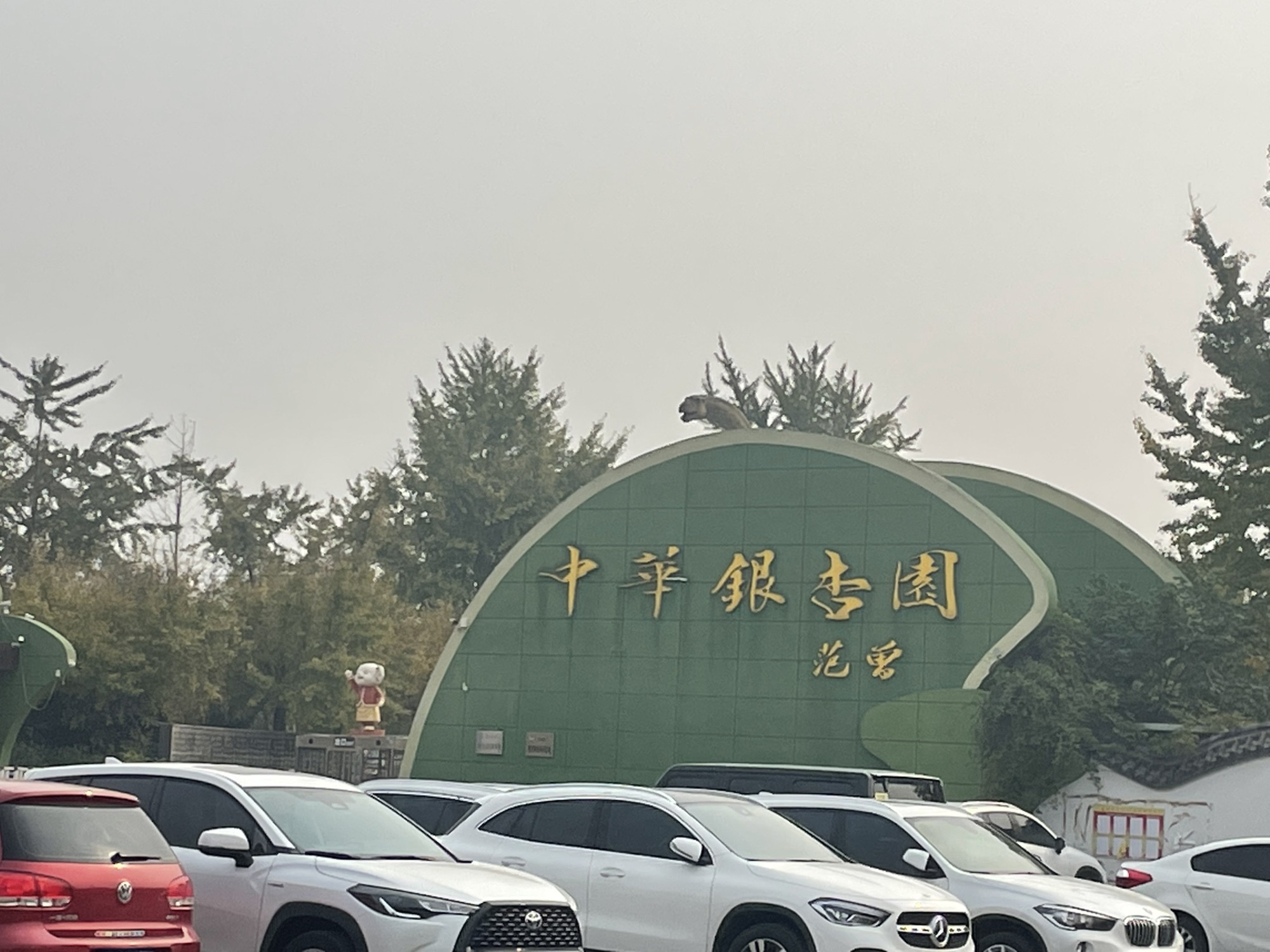 银杏生态旅游区-中华银杏园旅行图片 1