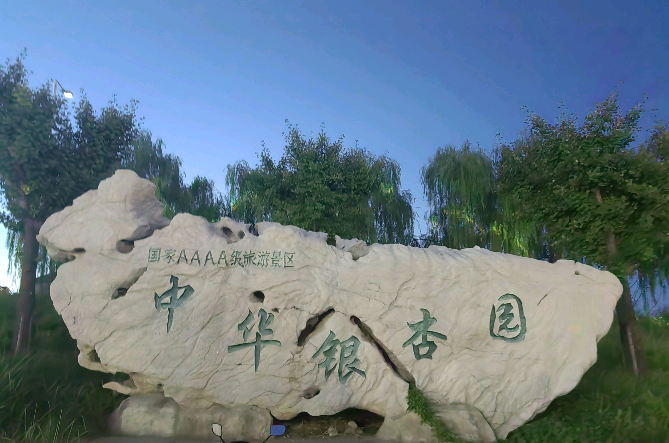 银杏生态旅游区-中华银杏园旅行图片 1