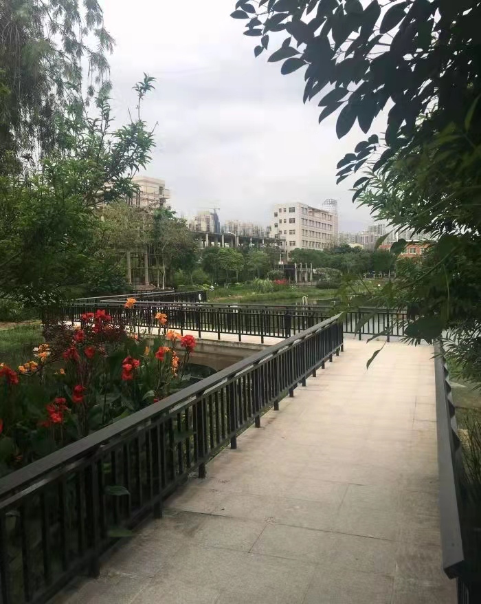桂山公园旅行图片 3