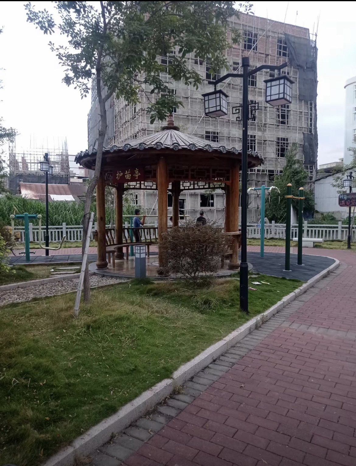 高美公园旅行图片 2