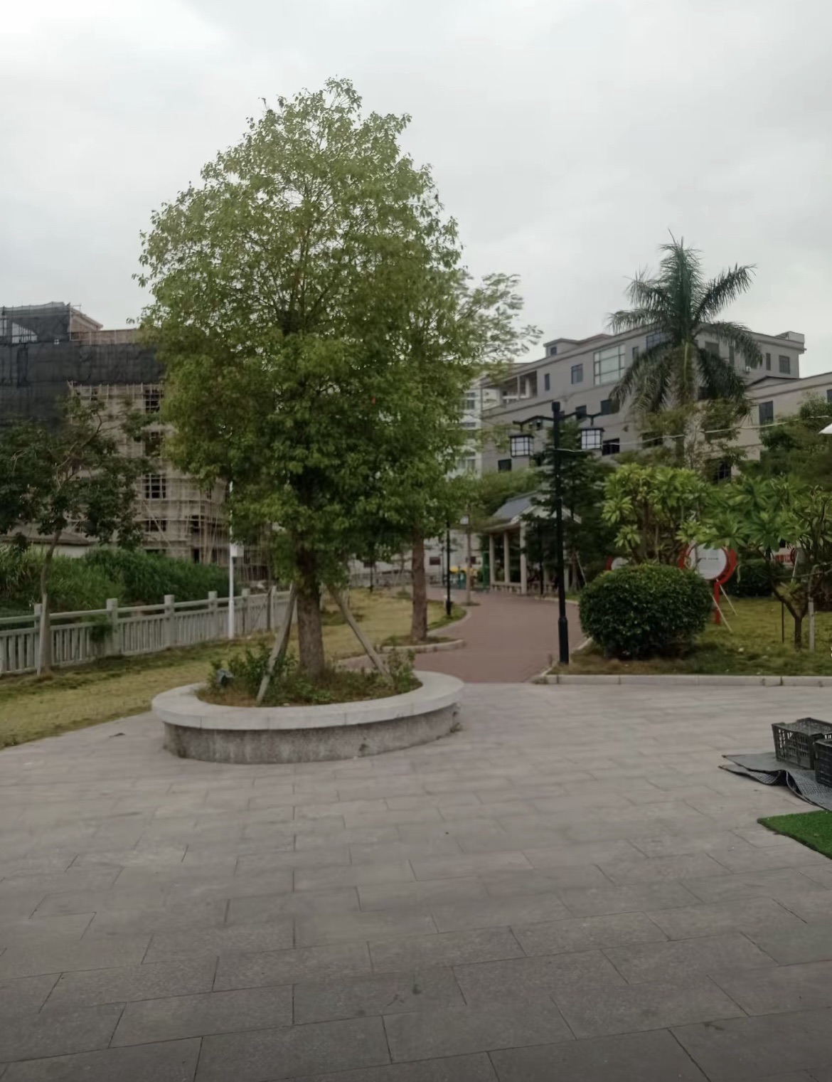 高美公园旅行图片 3