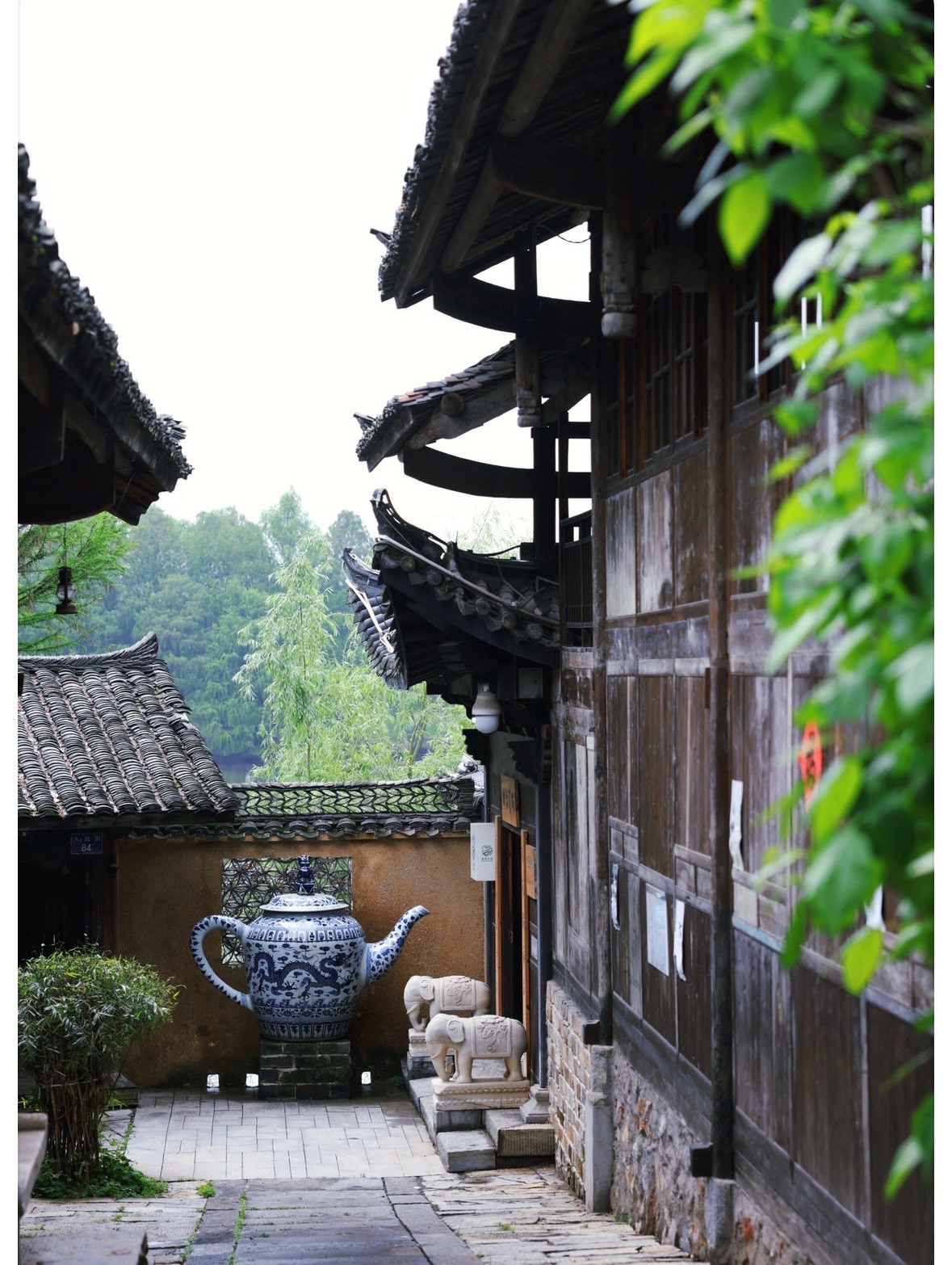 江南旧雨旅行图片 1