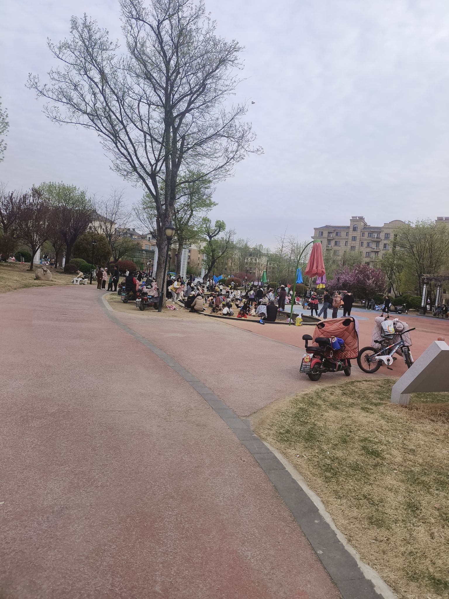 滕州市市民公园旅行图片 2