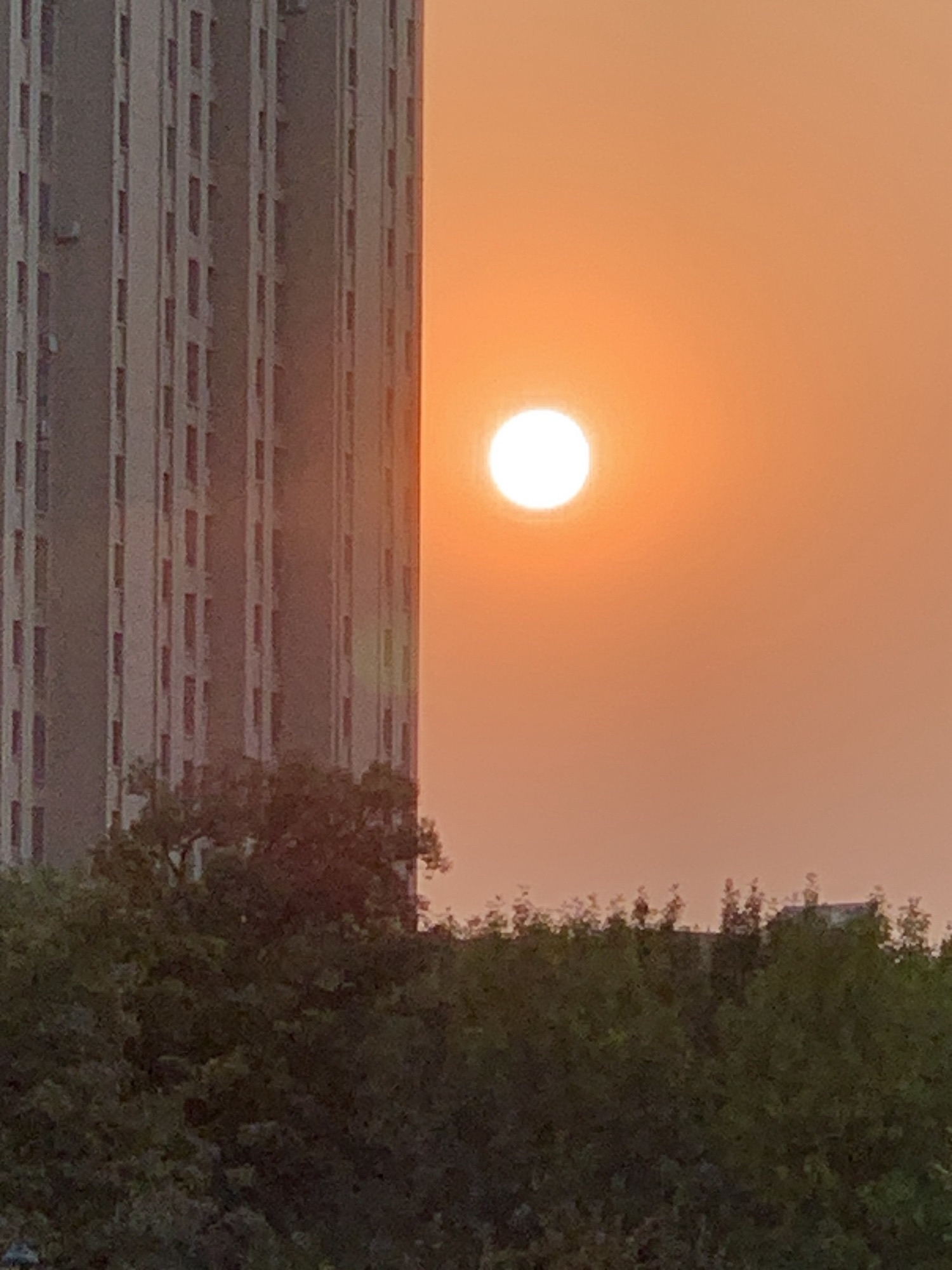 滕州市市民公园旅行图片 3