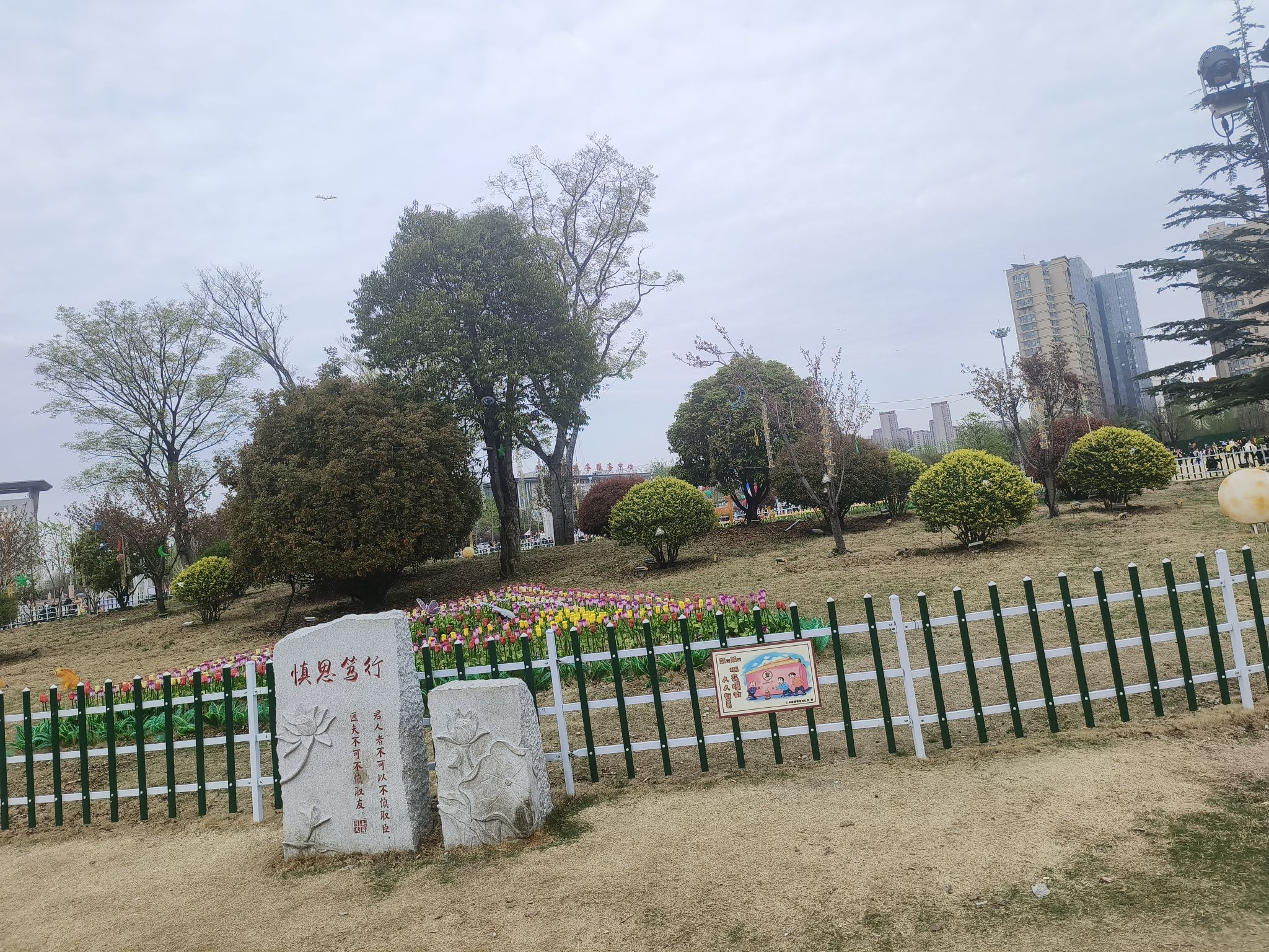 滕州市市民公园旅行图片 1