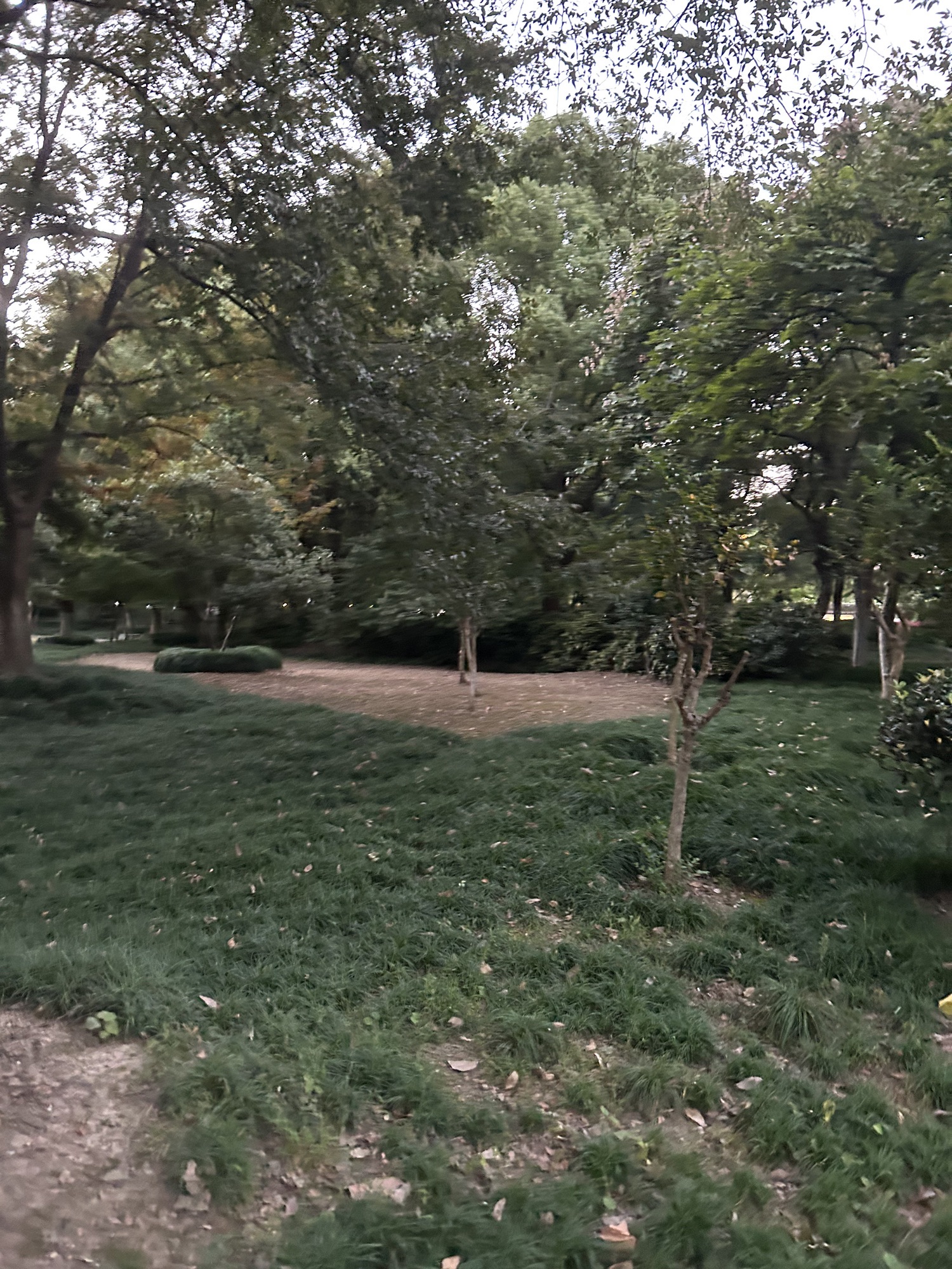府南公园旅行图片 3