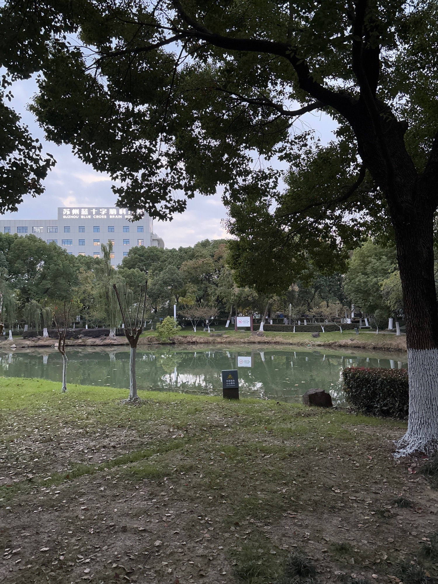 府南公园旅行图片 2