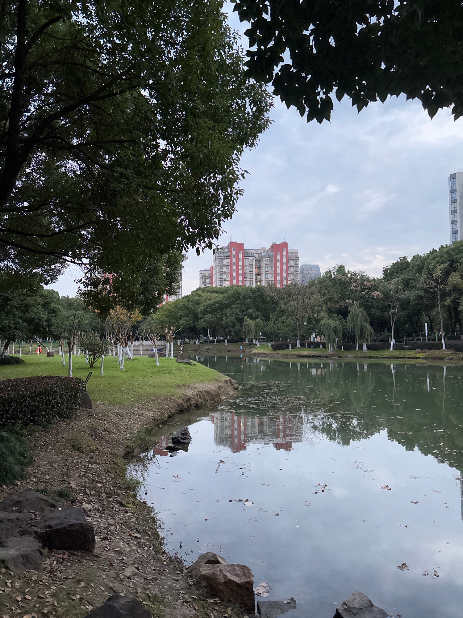 府南公园旅行图片 3