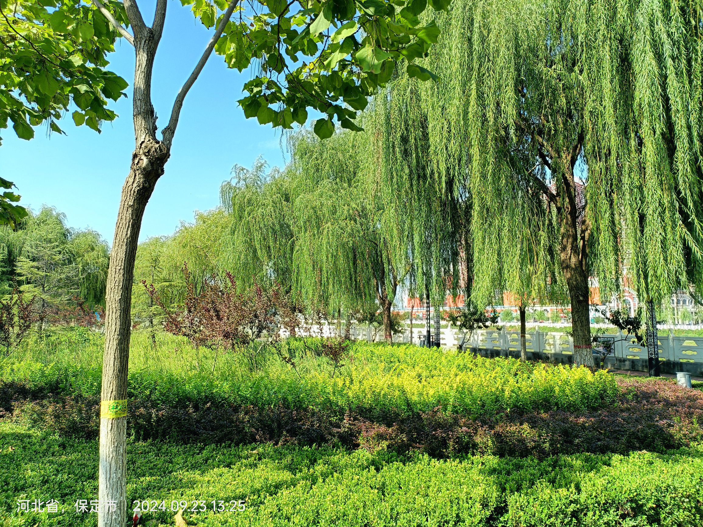 易水公园旅行图片 1