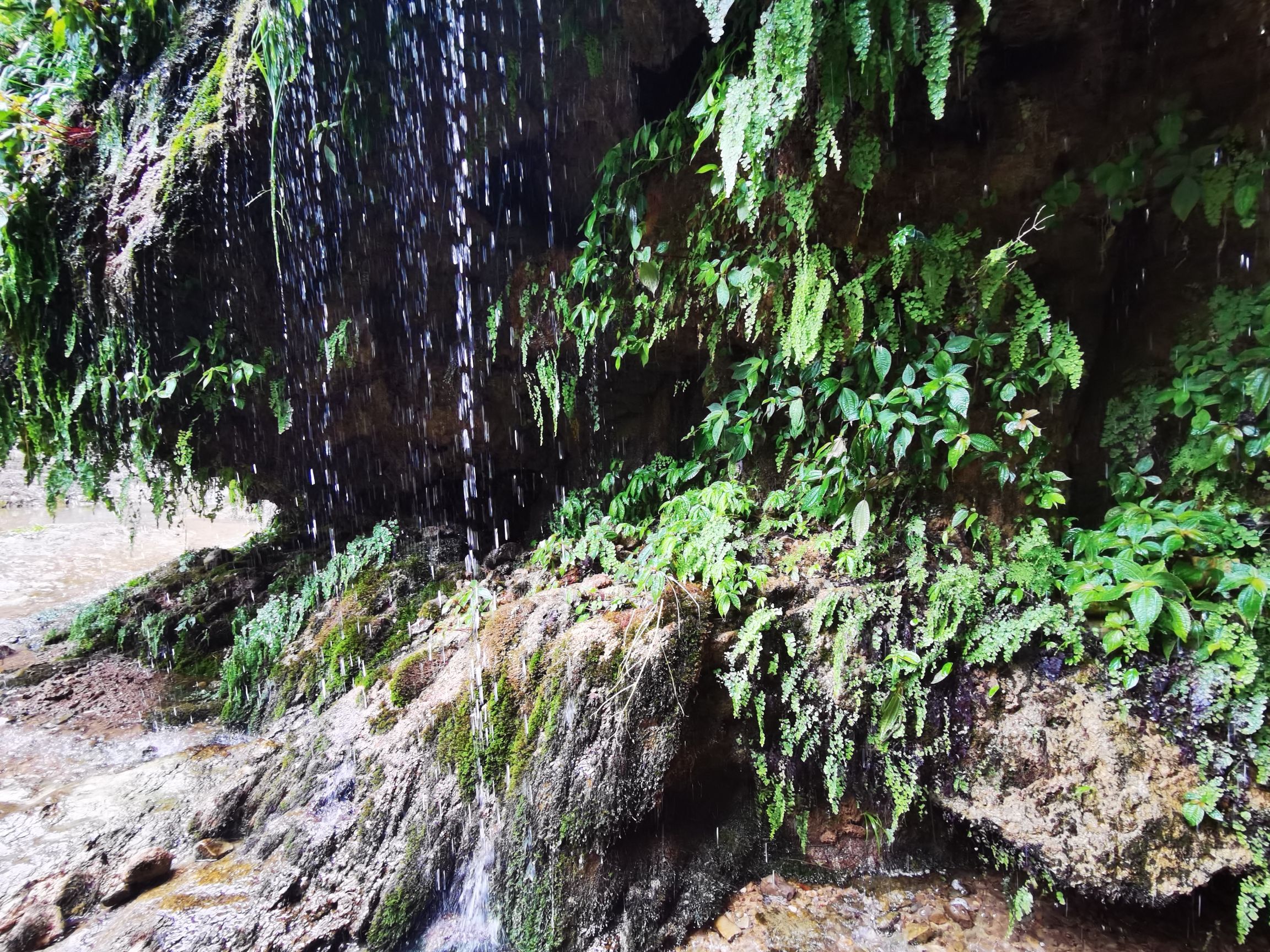 马尿岩瀑布旅行图片 3