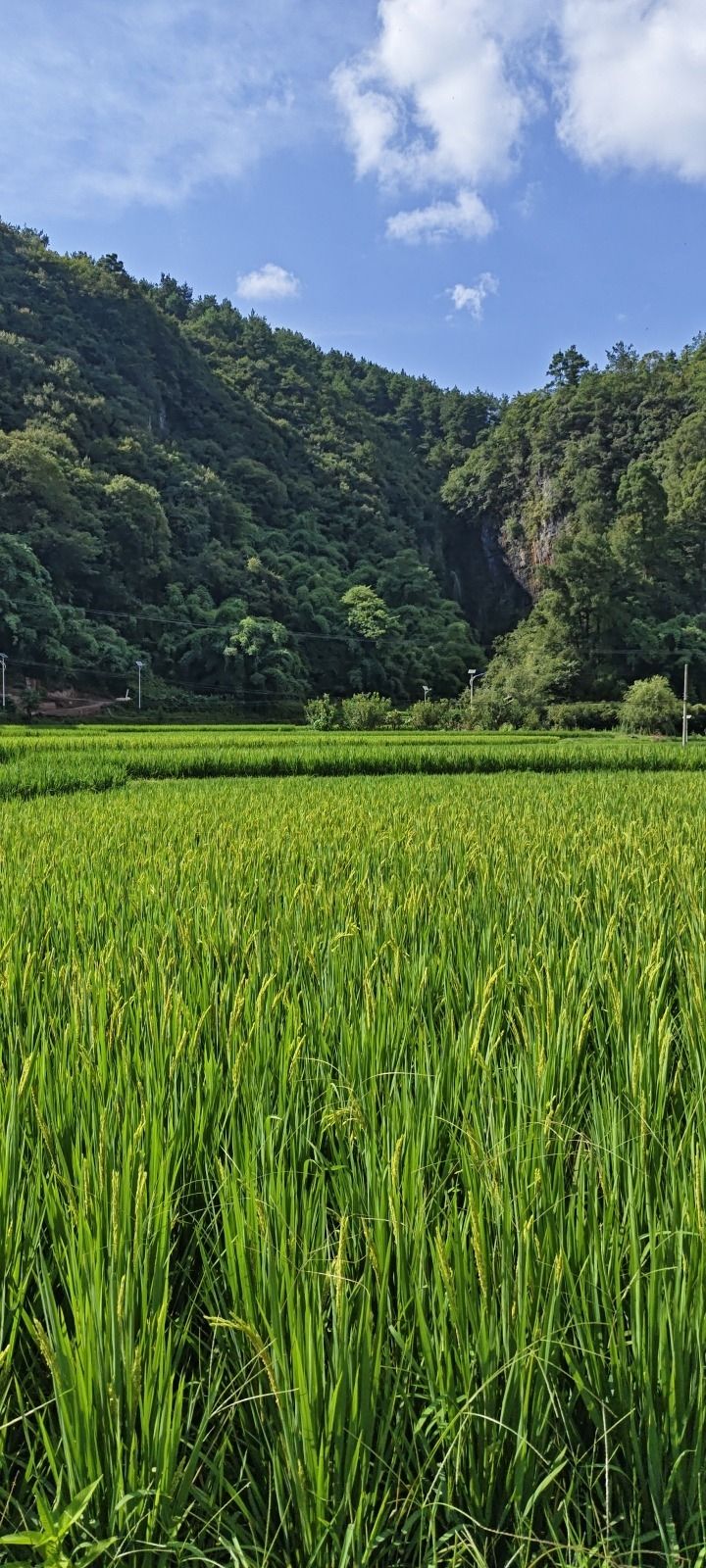 马尿岩瀑布