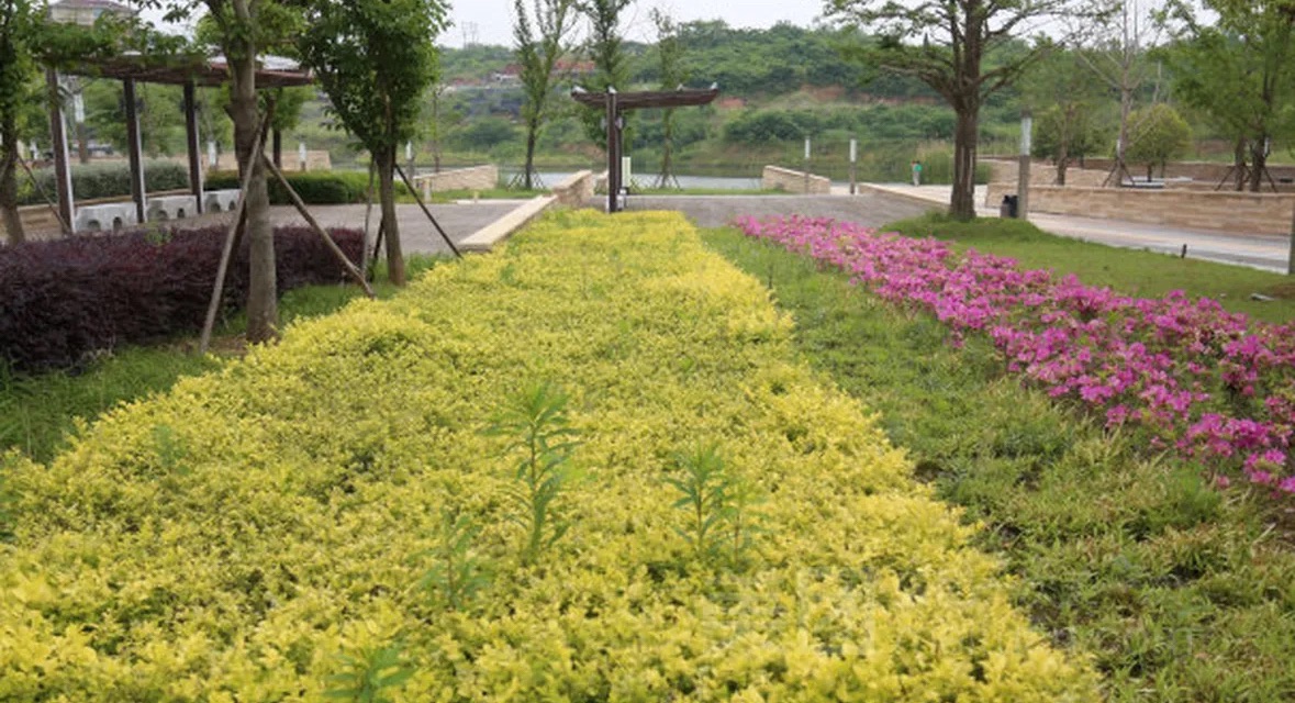 汤泉湖公园旅行图片 2