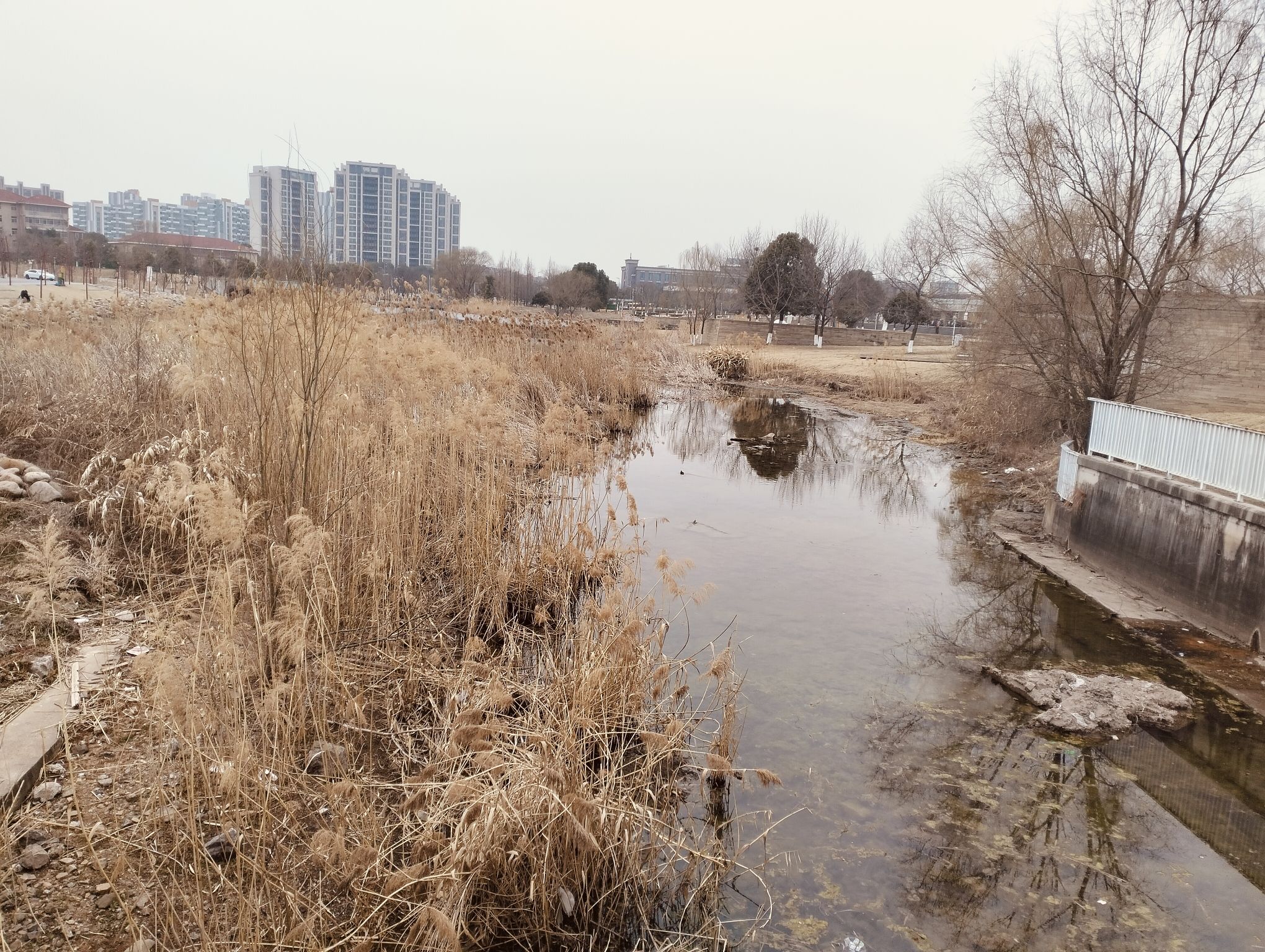 汤泉湖公园旅行图片 2