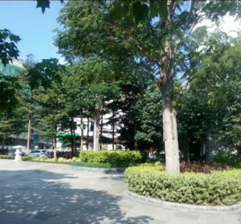 澳头公园旅行图片 3