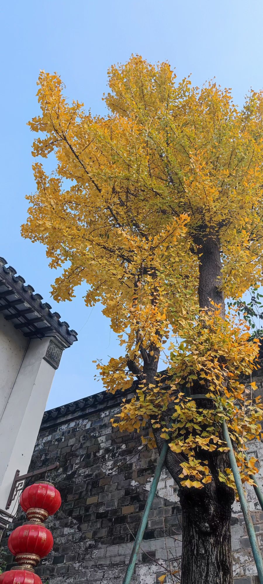 合肥吴家花园旅行图片 3