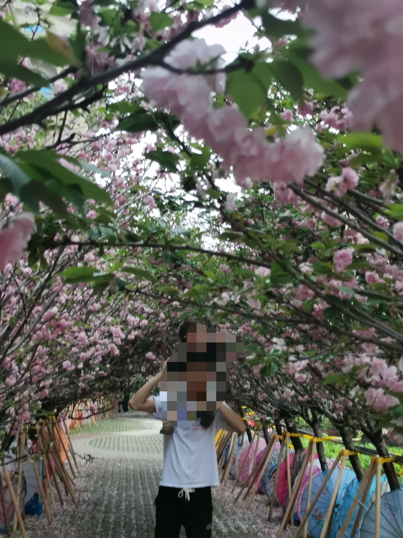 惠州狮子城旅行图片 1