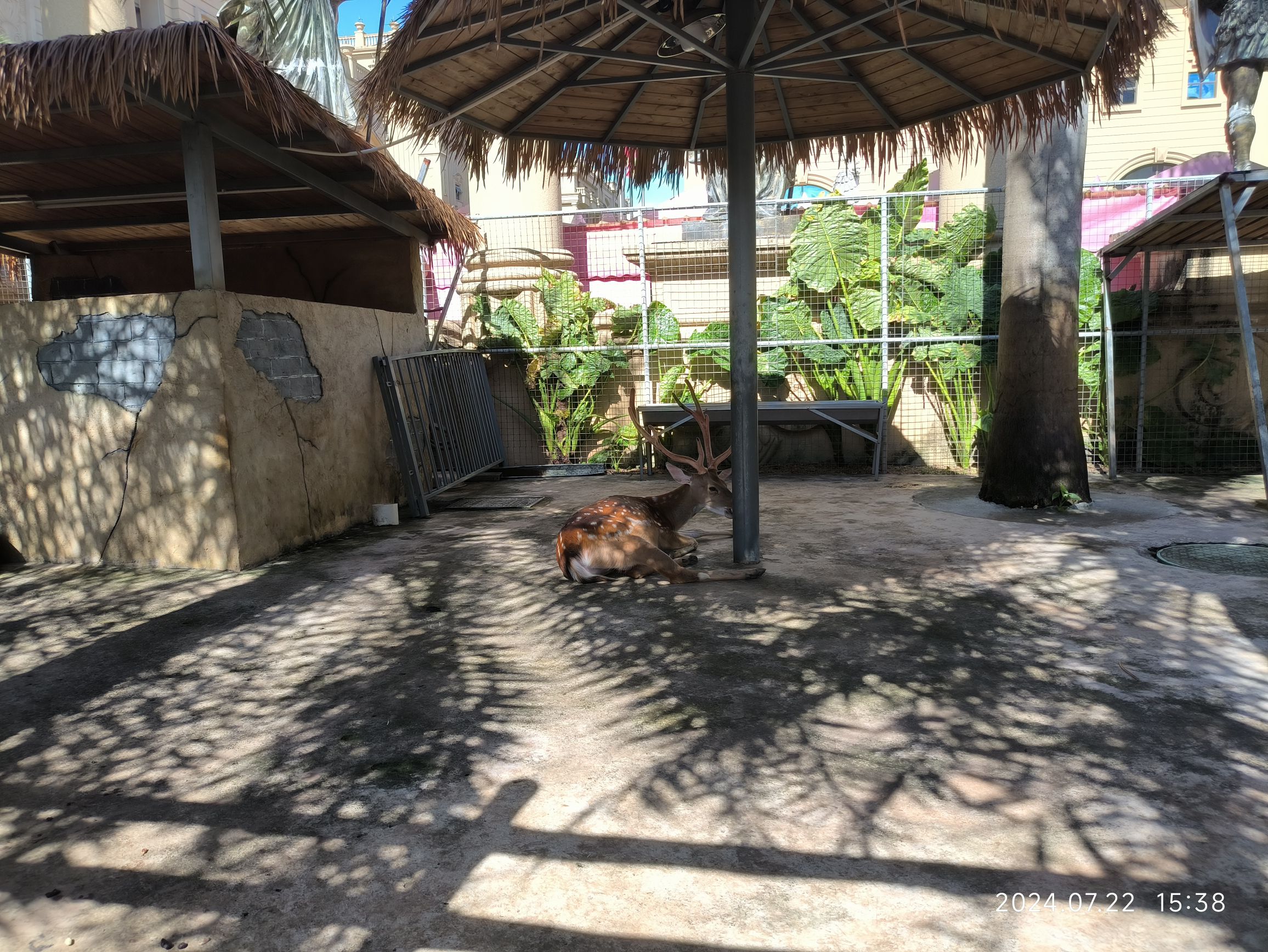 惠州狮子城旅行图片 2
