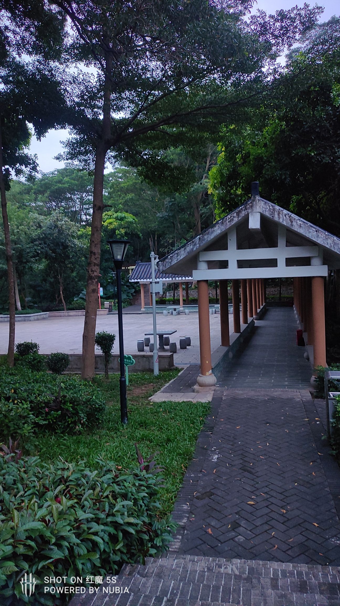 黄背坑公园旅行图片 3