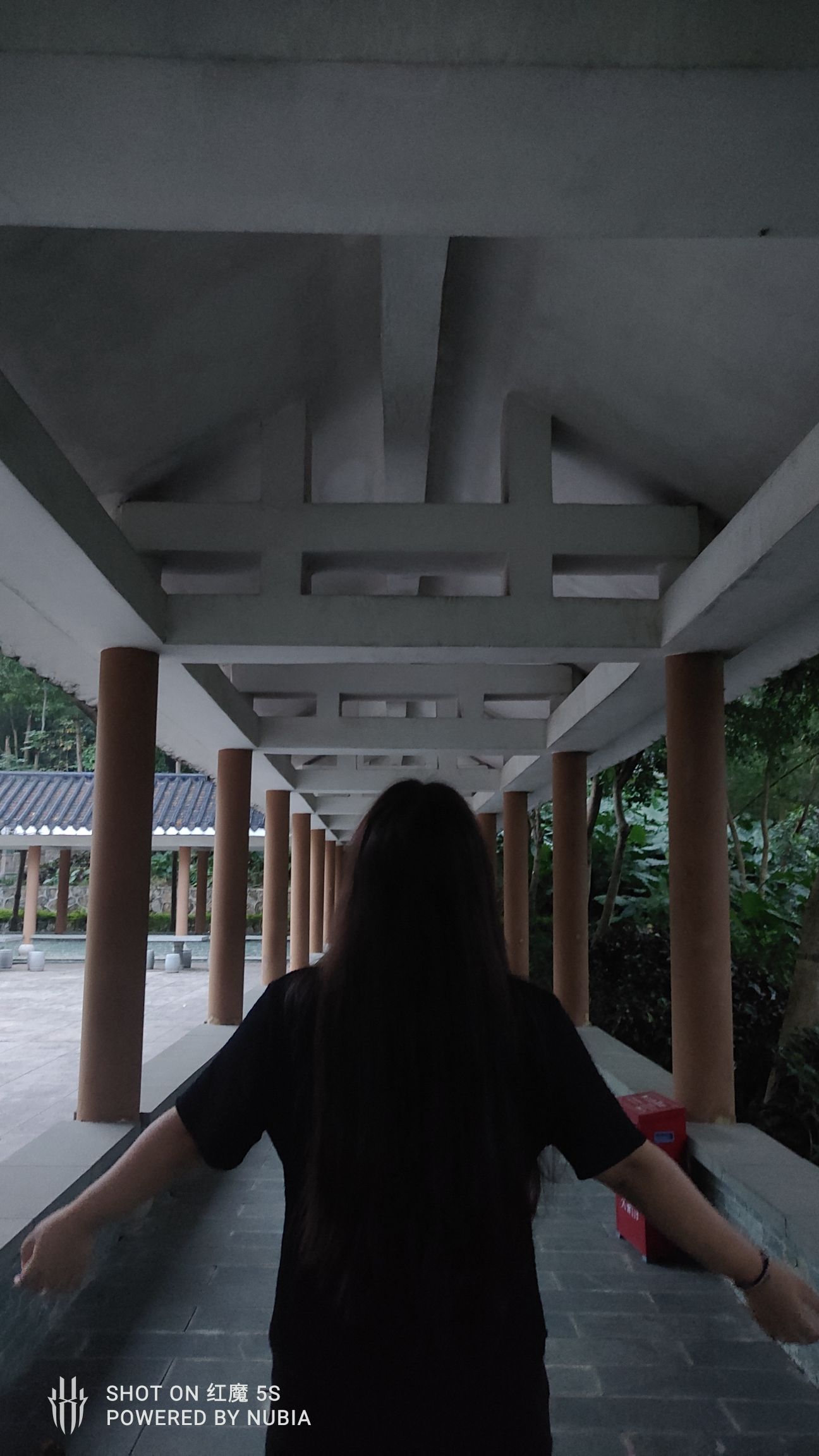 黄背坑公园旅行图片 2
