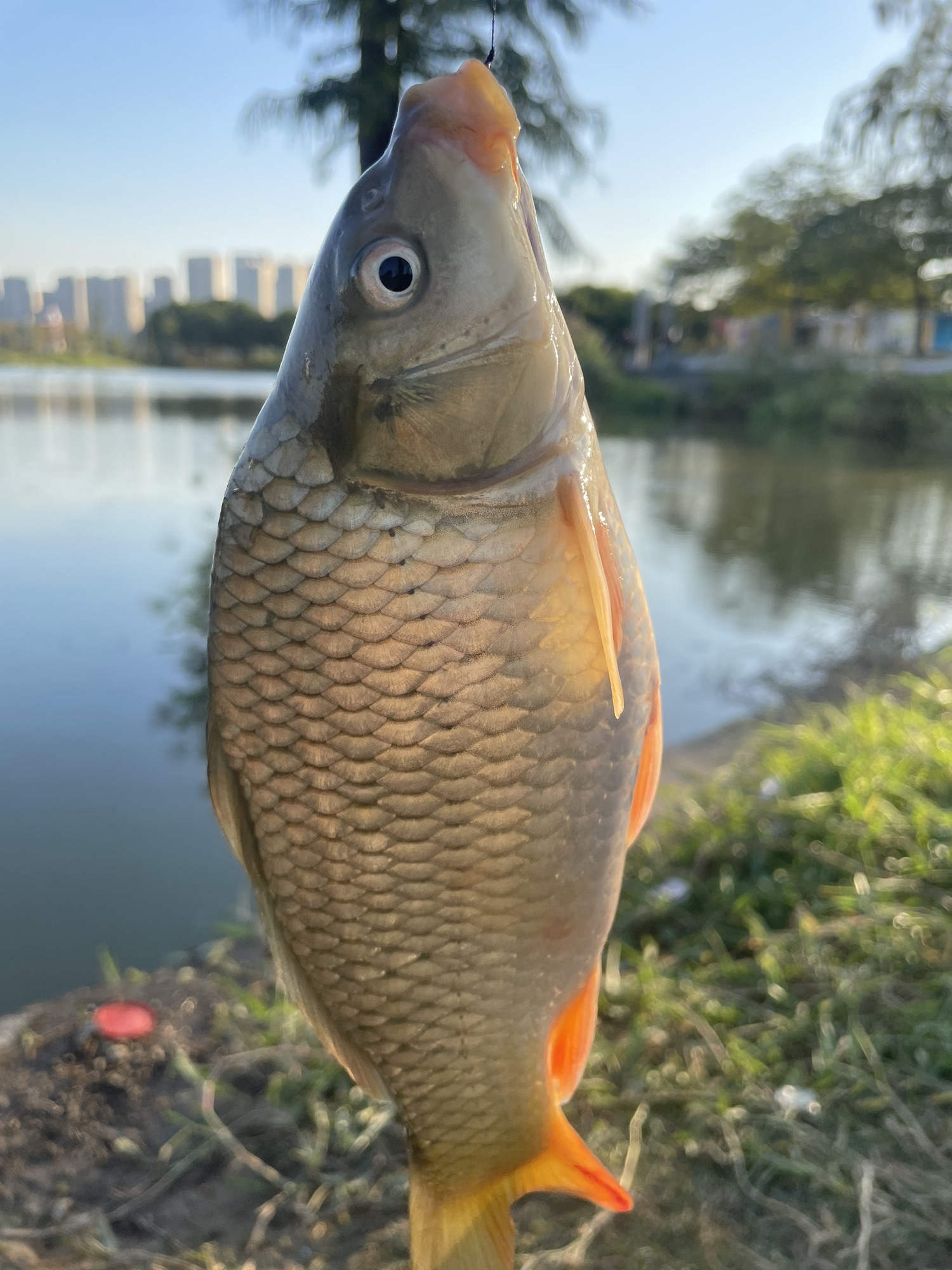 东平河石湾湿地公园旅行图片 3