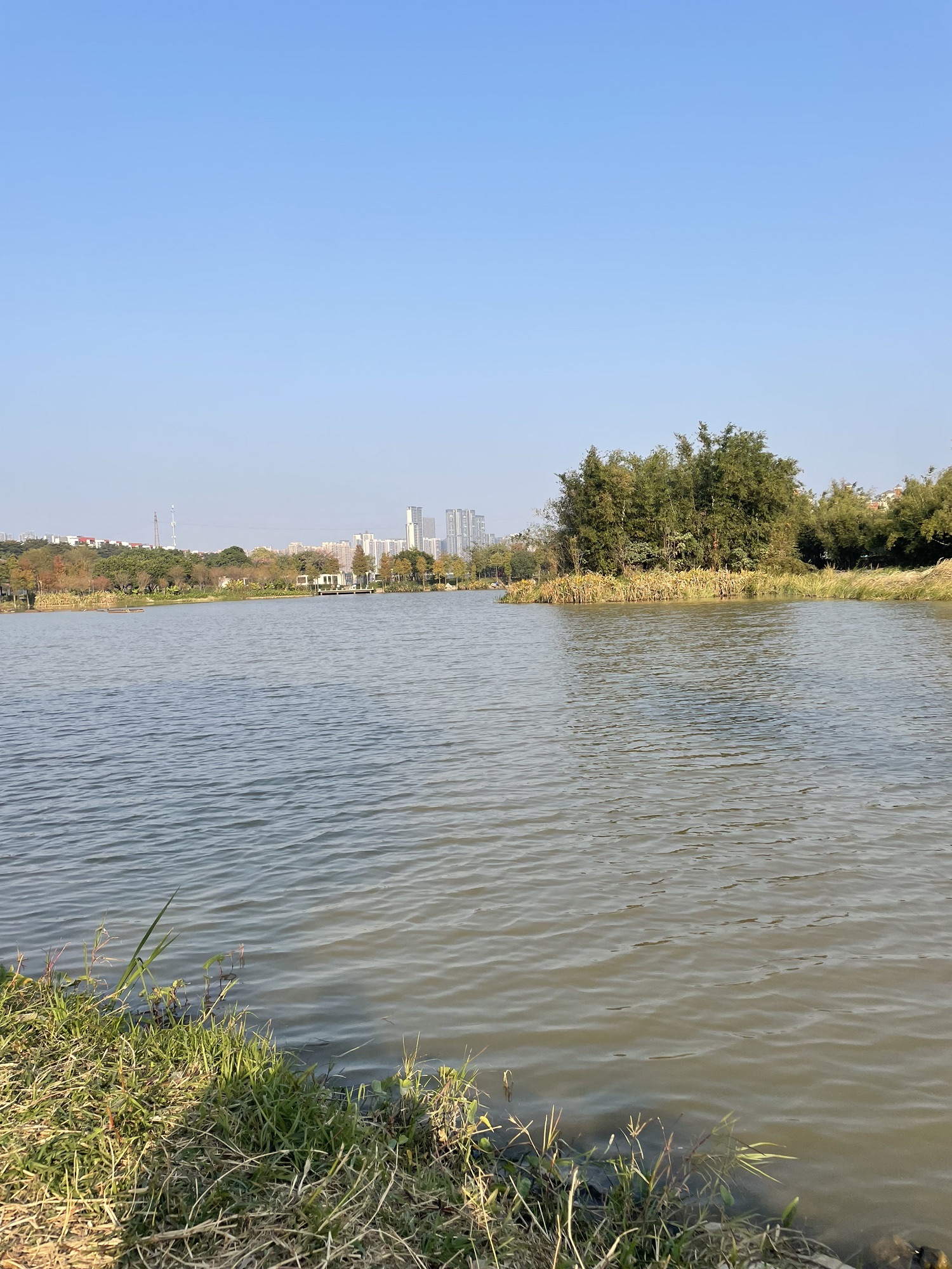 东平河石湾湿地公园旅行图片 2