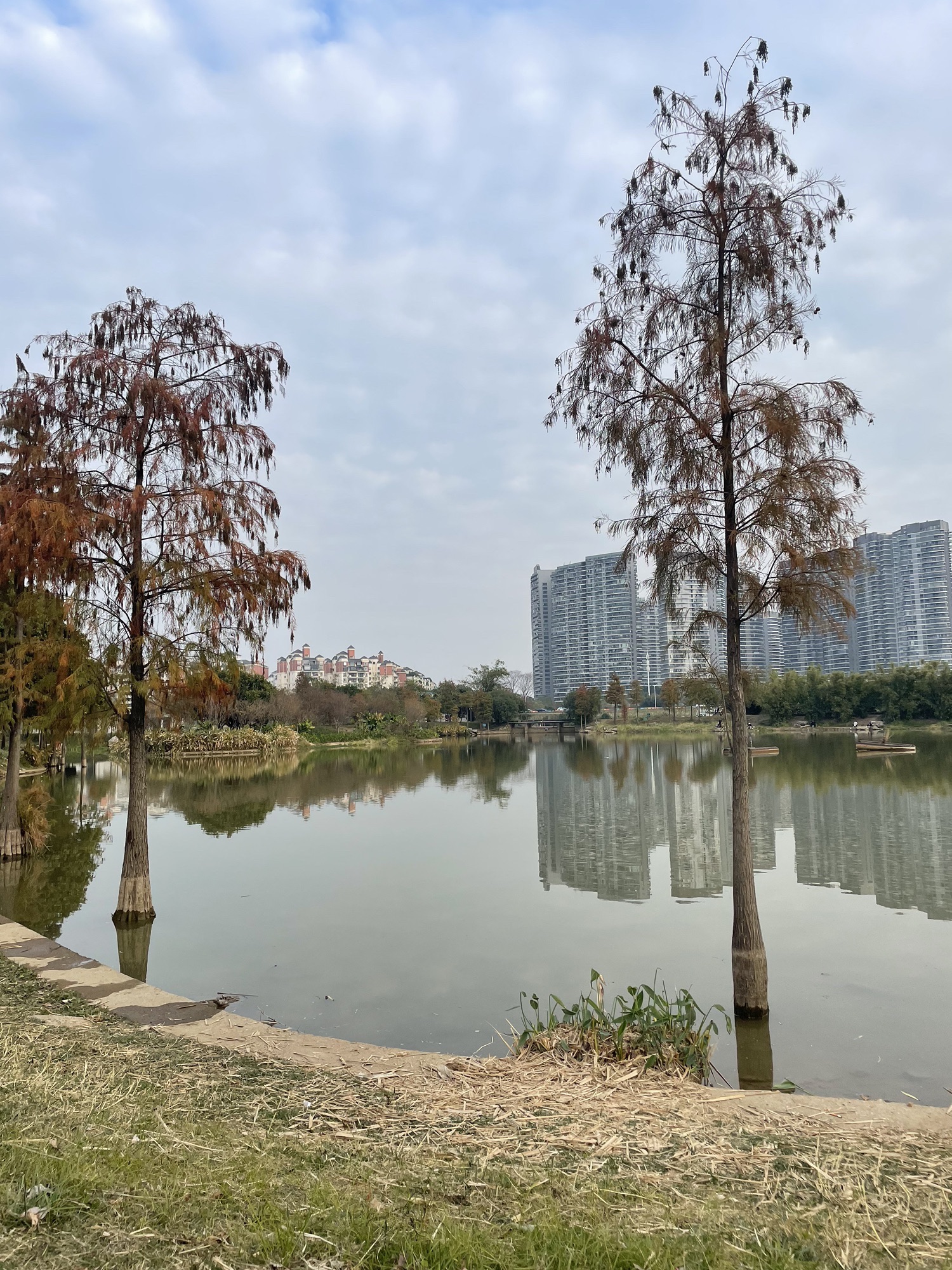 东平河石湾湿地公园旅行图片 1