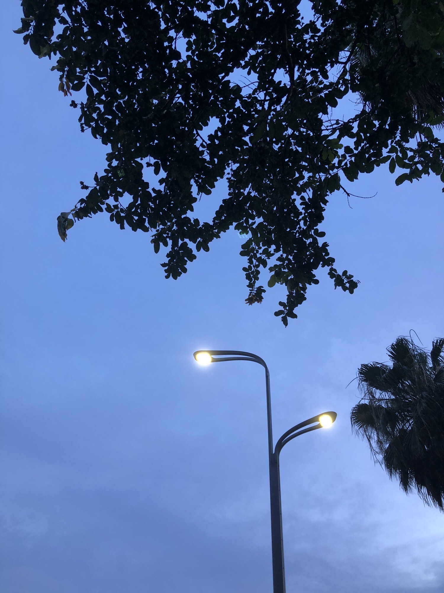 东平河石湾湿地公园旅行图片 2