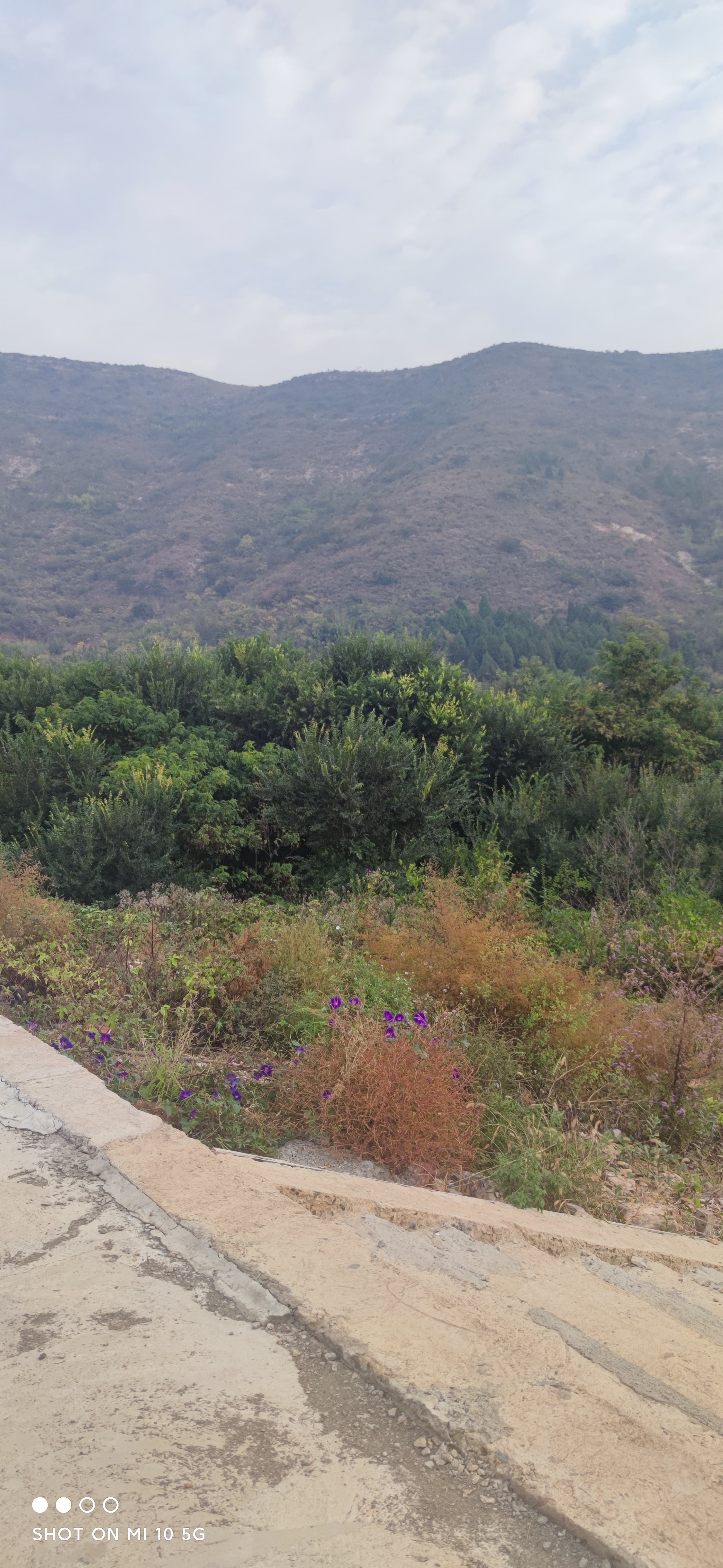 龙隐寺旅行图片 1