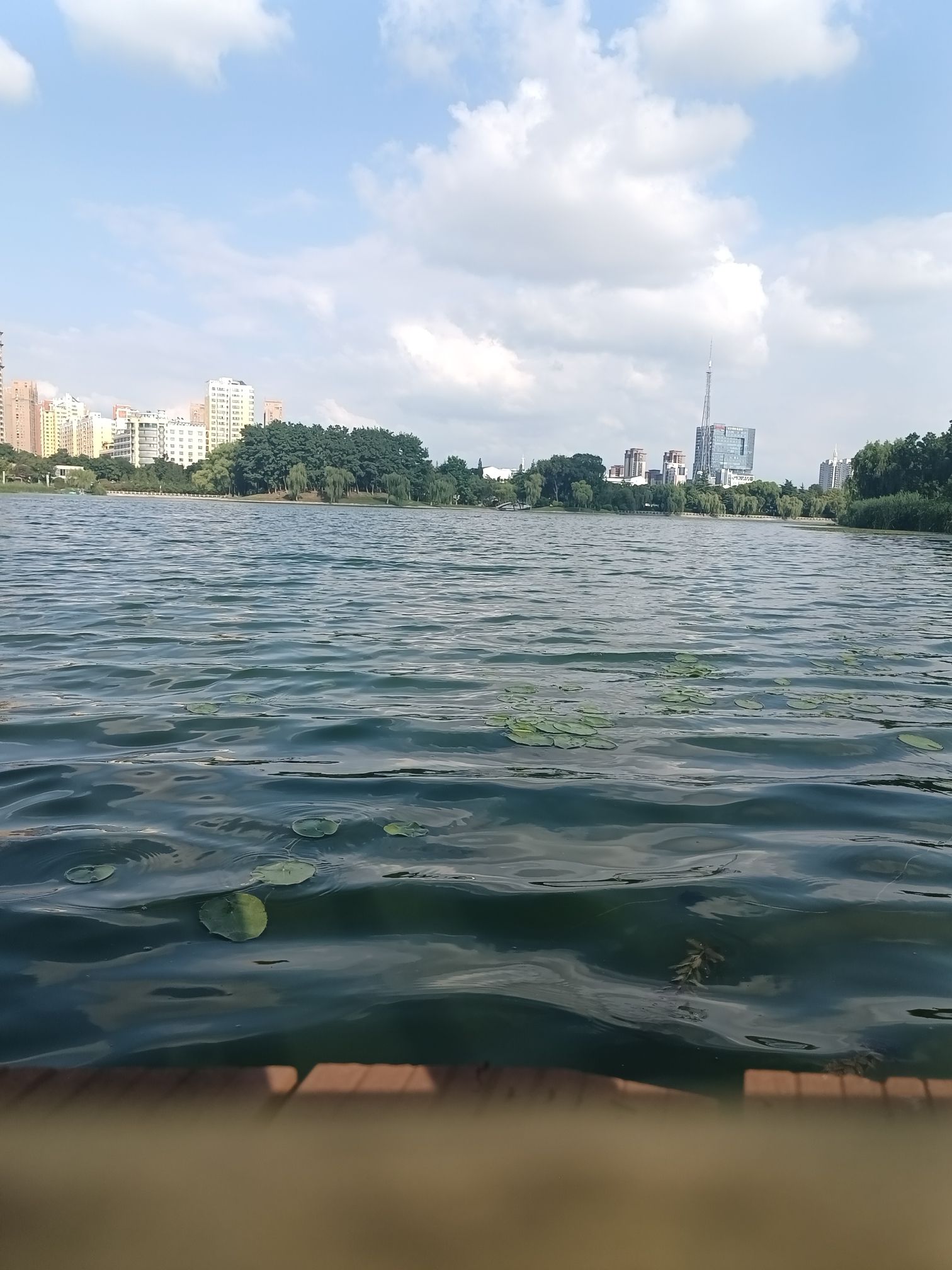 古黄河雄壮河湾公园旅行图片 2