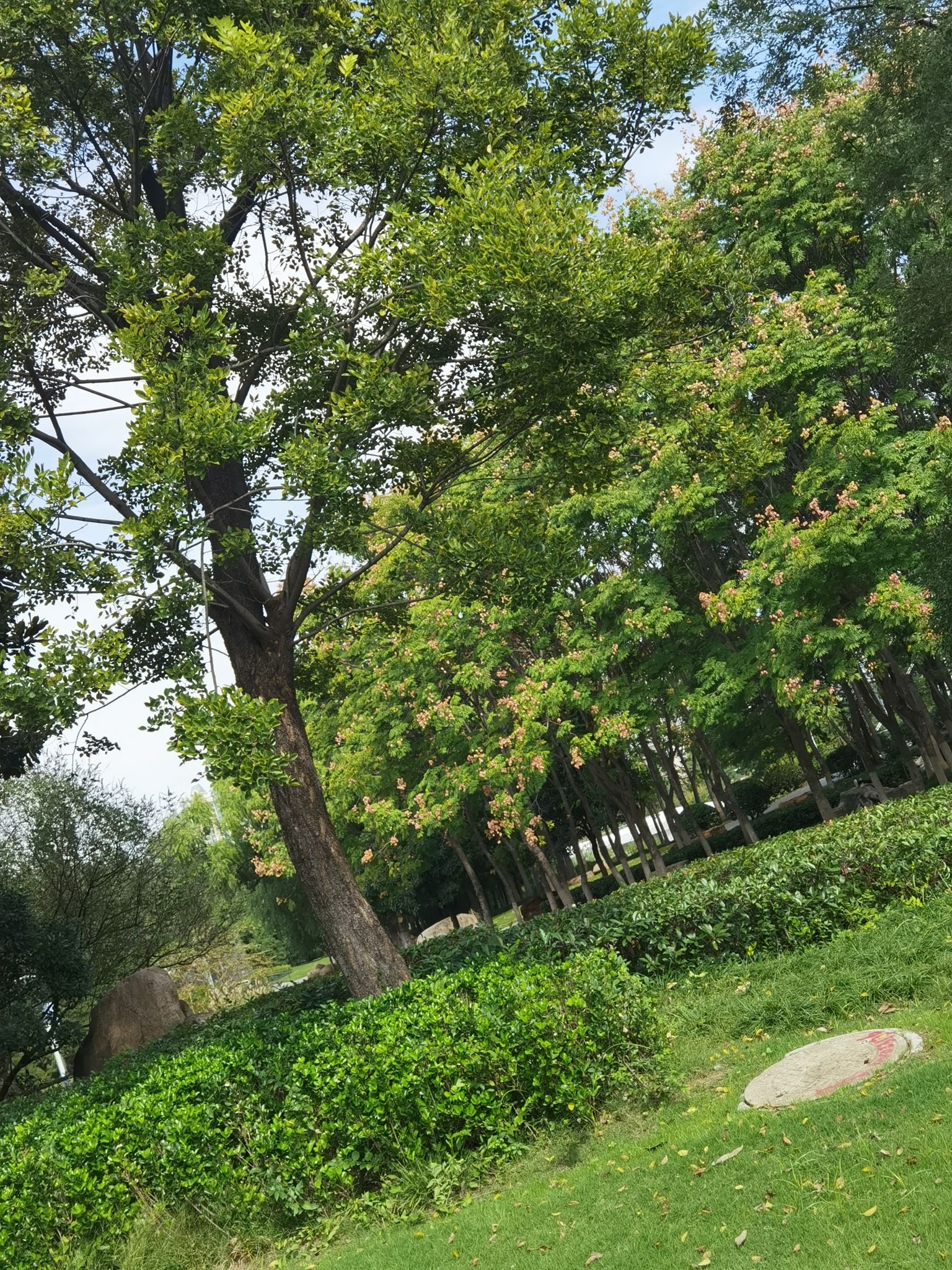 古黄河雄壮河湾公园旅行图片 3