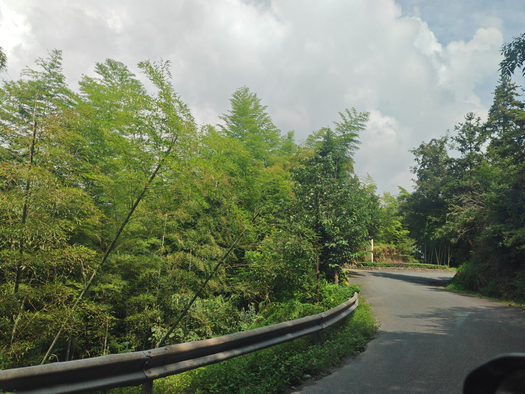 余姚市东岗山森林公园